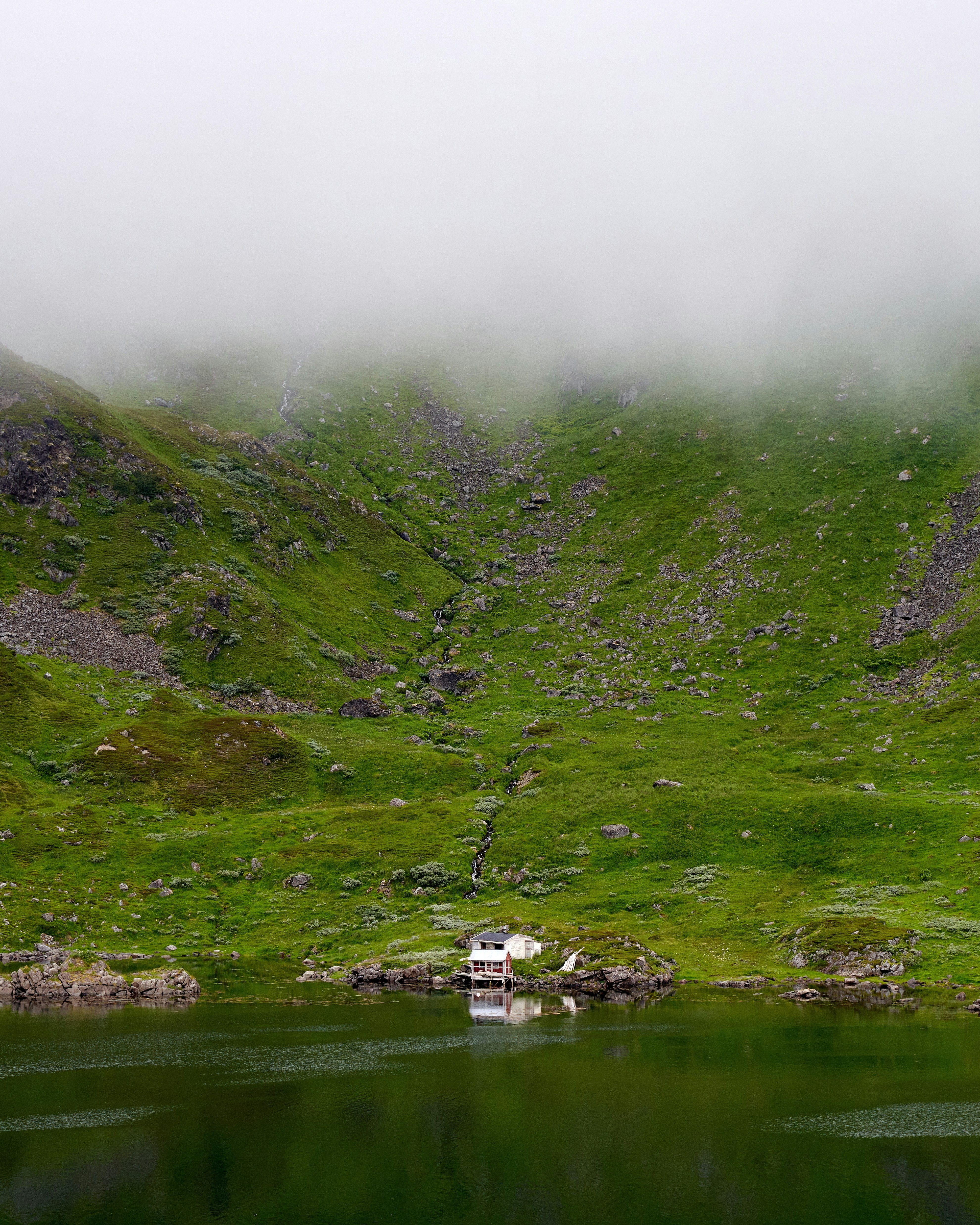 Photo by davotibarna