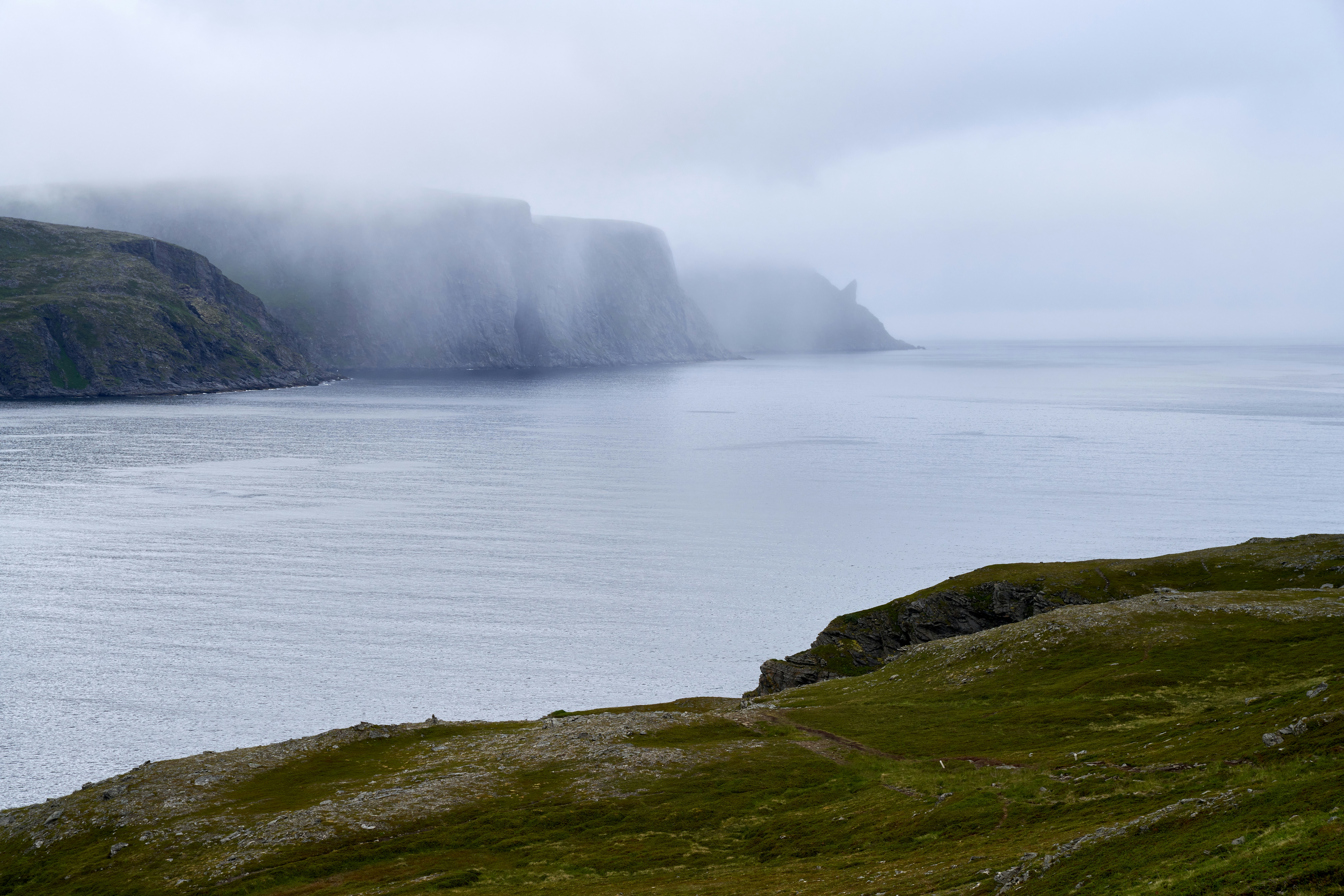 Photo by davotibarna