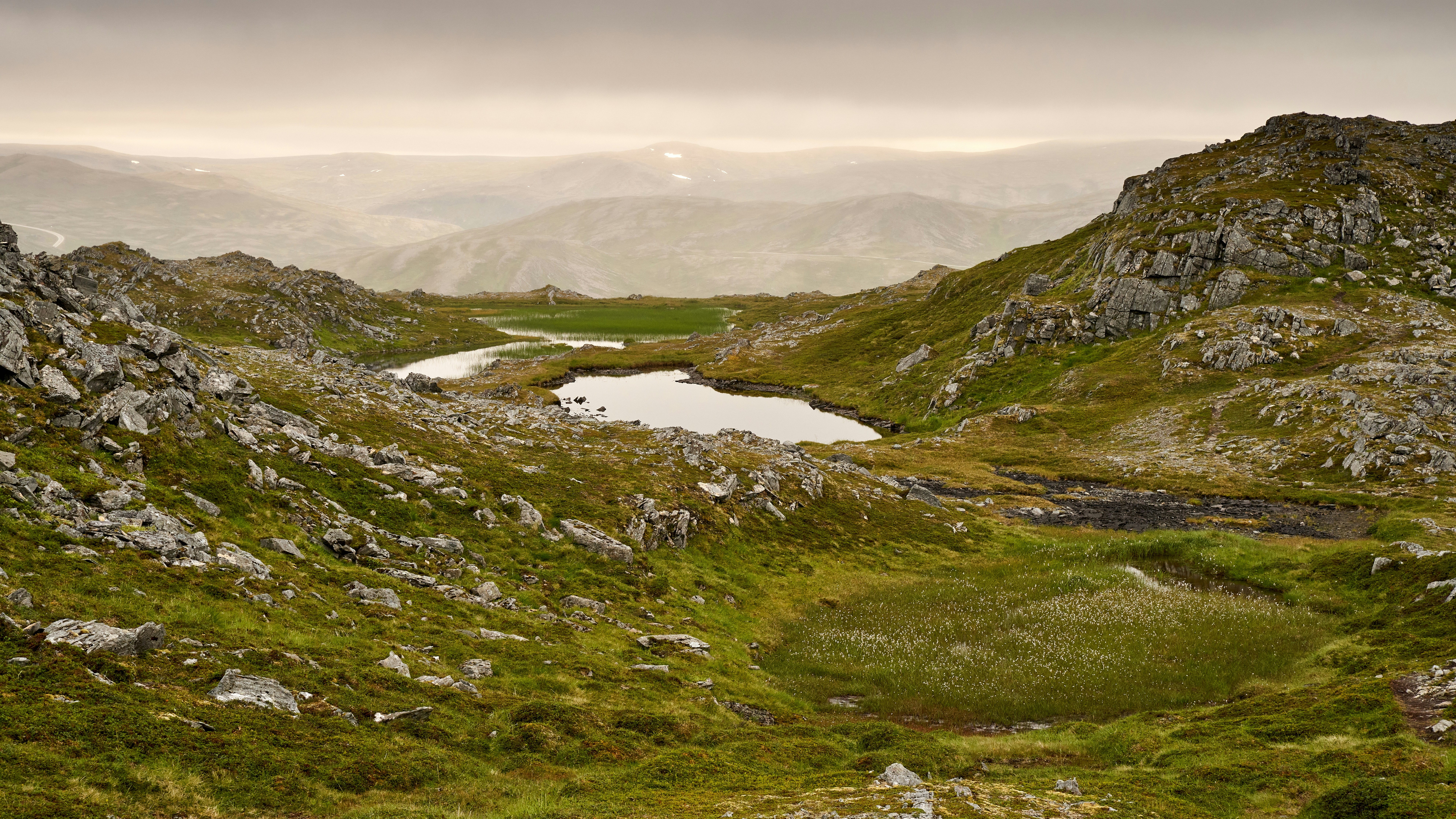 Photo by davotibarna