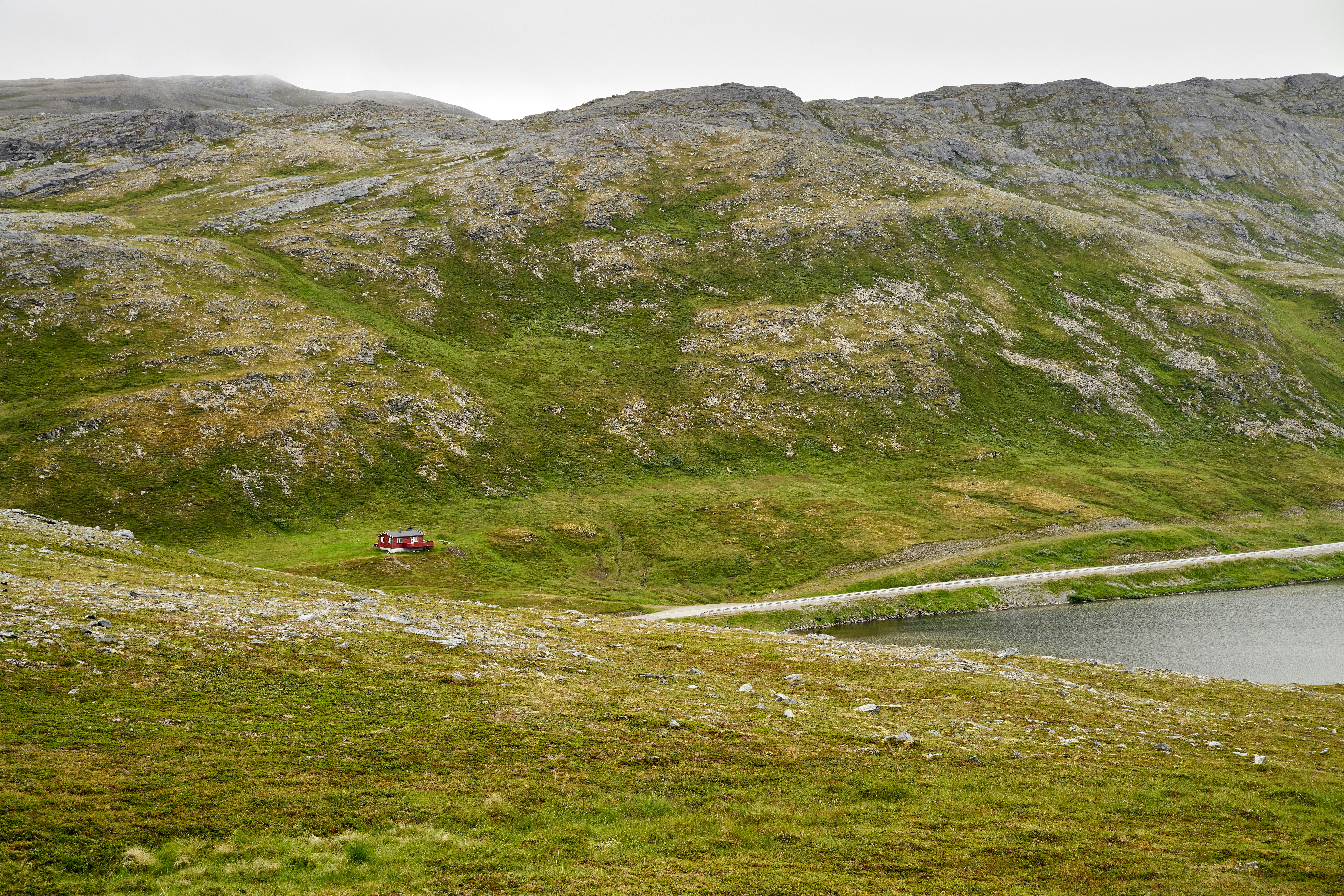 Photo by davotibarna