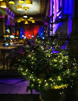 A small, decorated Christmas tree with twinkling lights is placed indoors. The background features a dimly lit, cozy setting with warm yellow hanging lights and a ceiling with intricate designs. The walls are illuminated with blue and purple lighting, giving the scene a festive and colorful atmosphere. People can be seen seated at tables, suggesting a lively and social environment.