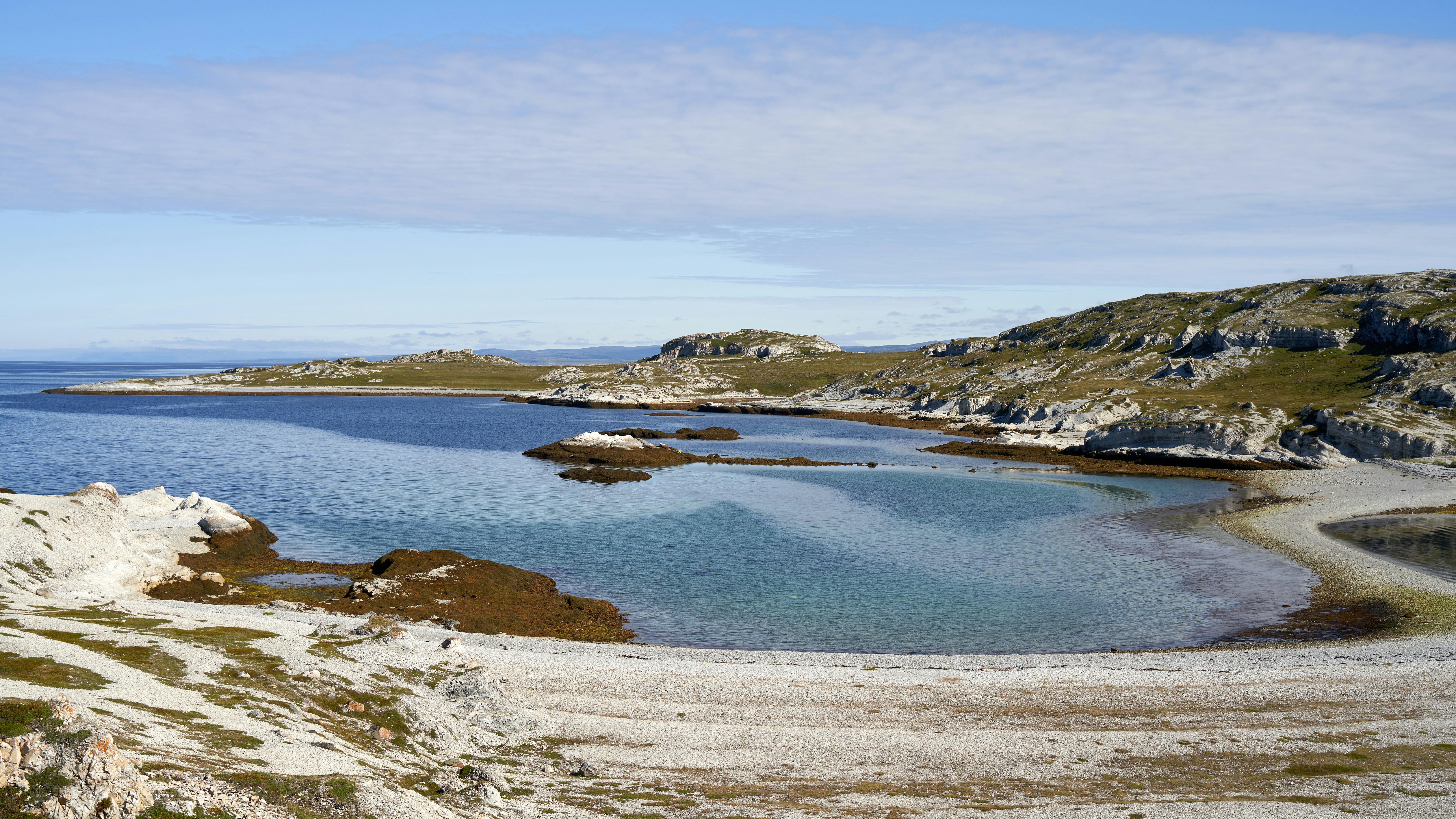 Photo by davotibarna