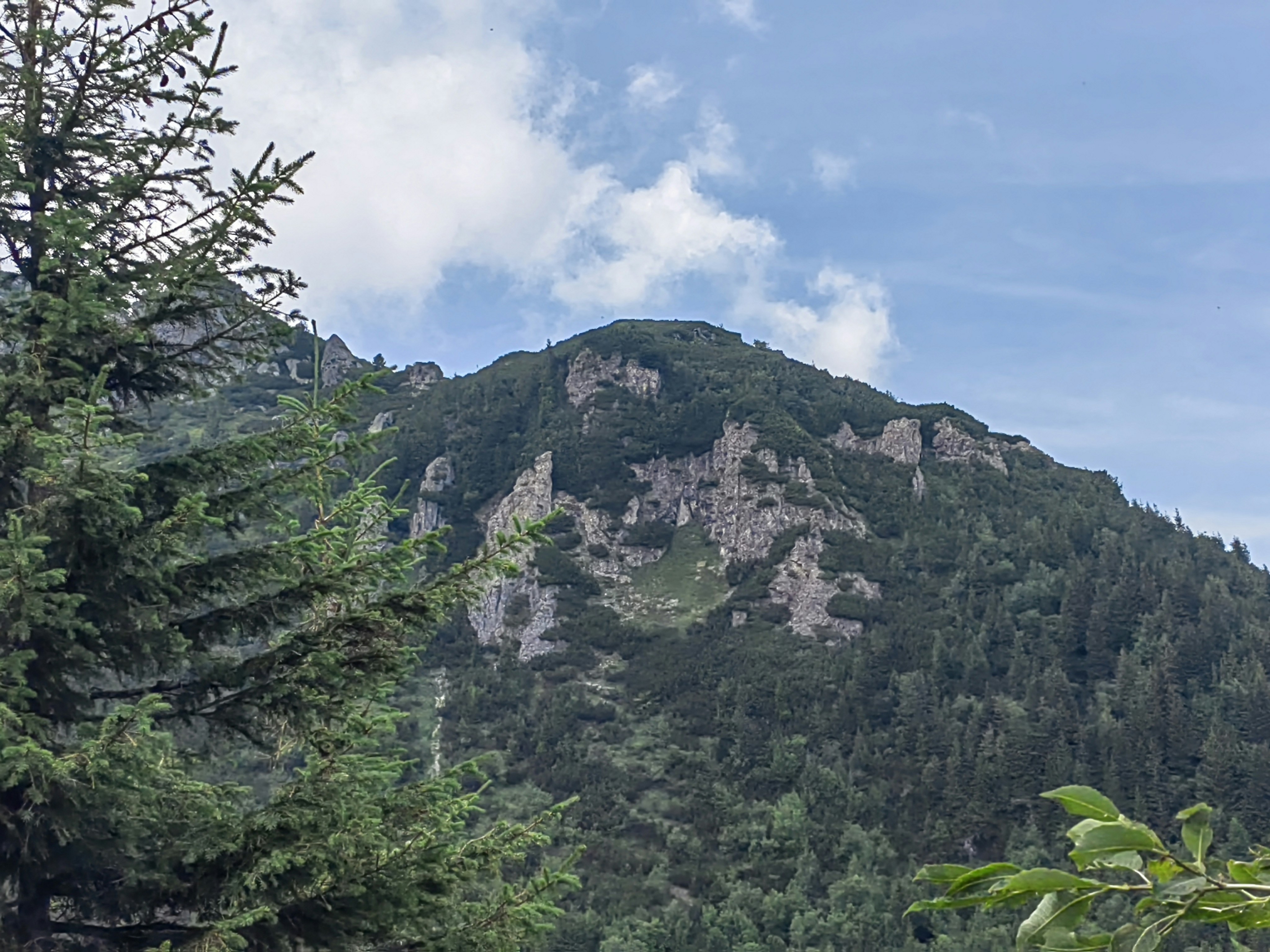 a rocky mountain with trees on it