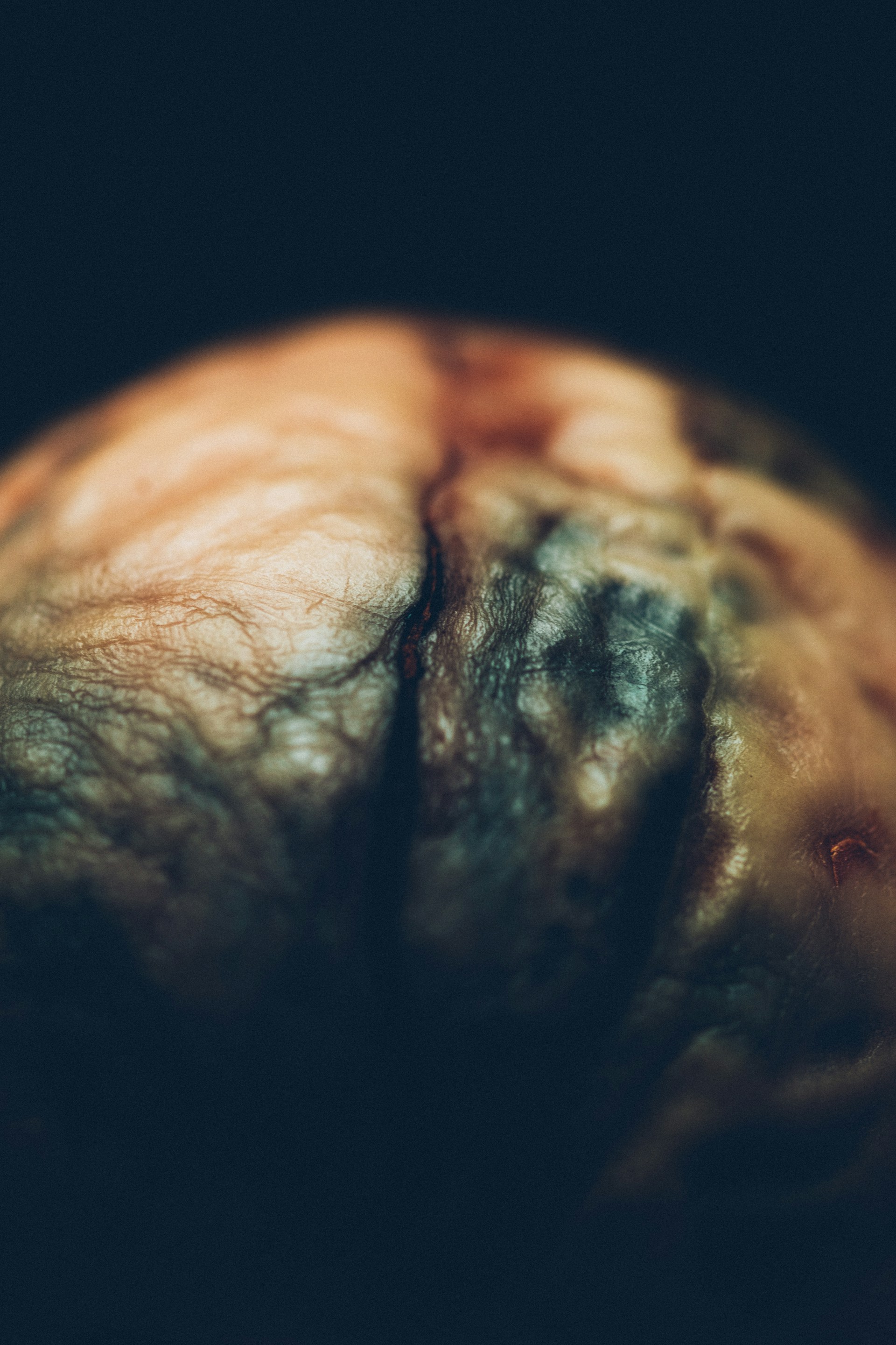 A close-up of Jad Zeitouni's intricate 3D-X layering artwork, showcasing vibrant textures and depth.