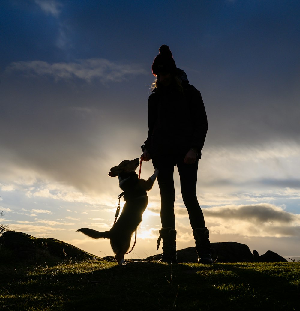 Eine Person und ein Hund auf einem Hügel