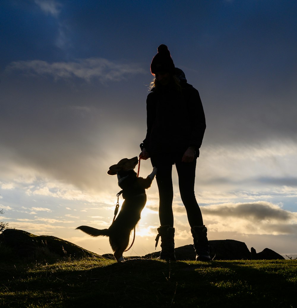 a person and a dog on a hill