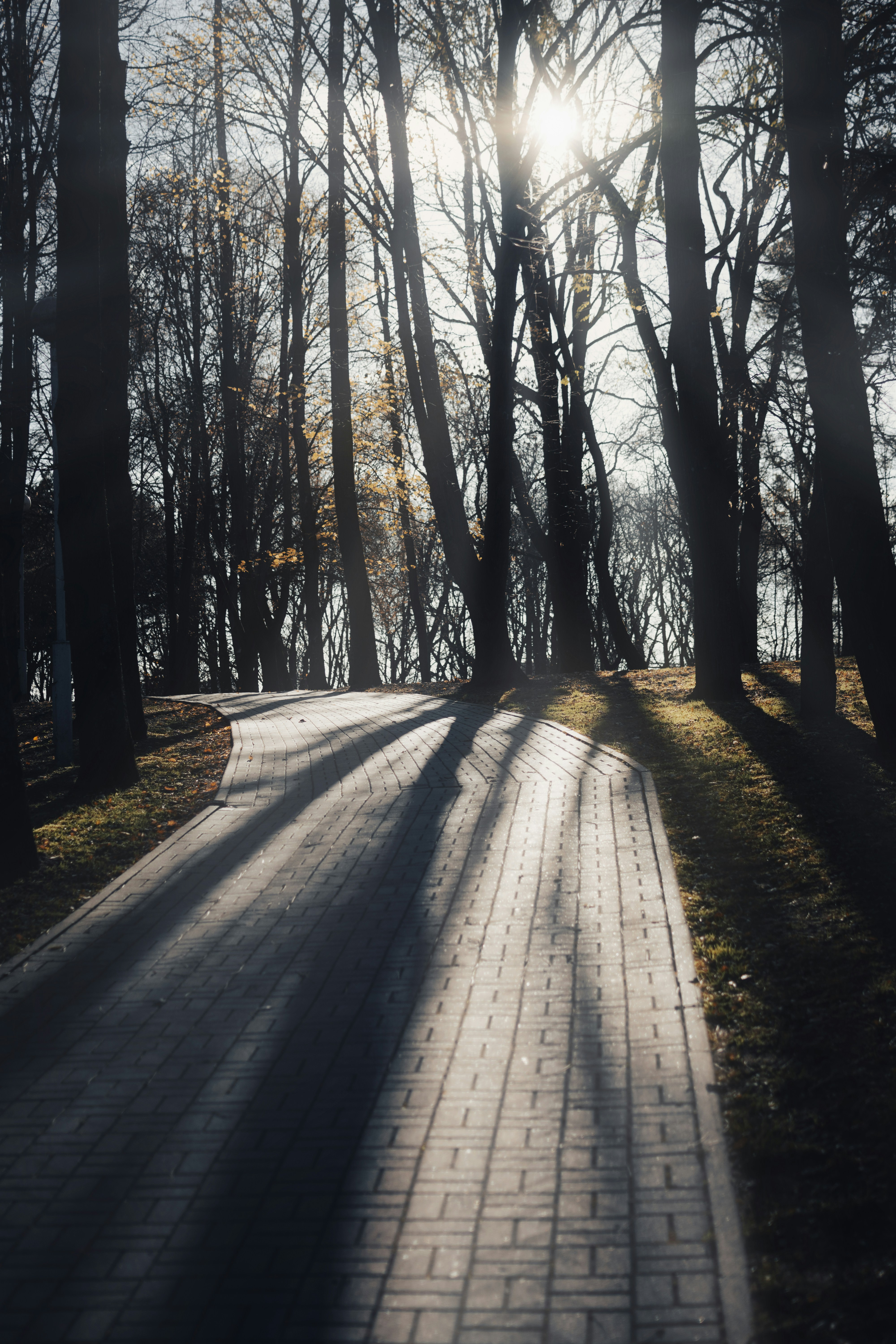 Photo by eadutskevich