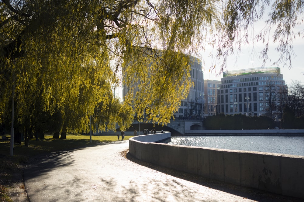 a river with trees and buildings along it