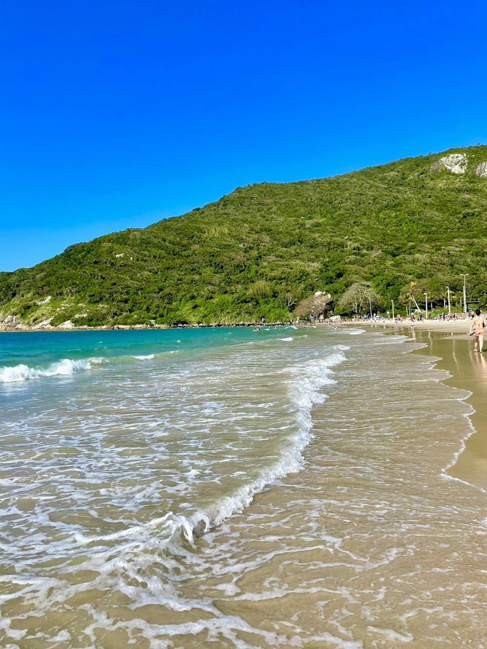 a beach with a hill in the background