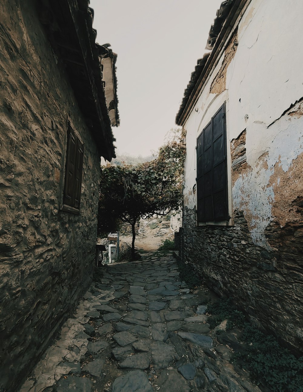 a stone path between buildings