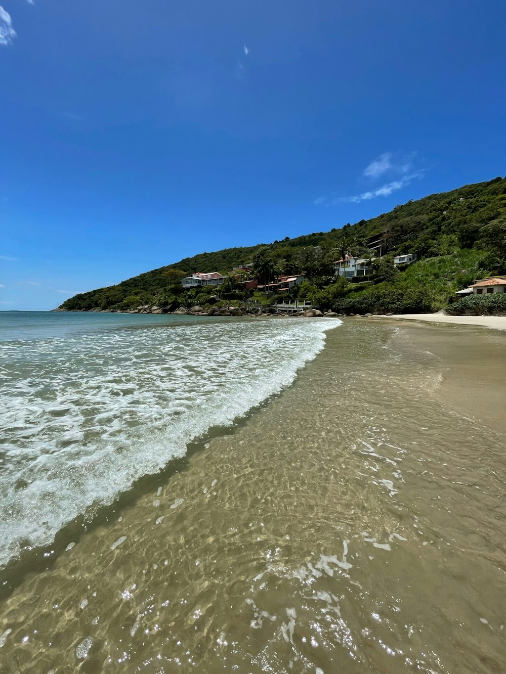 a beach with houses and trees