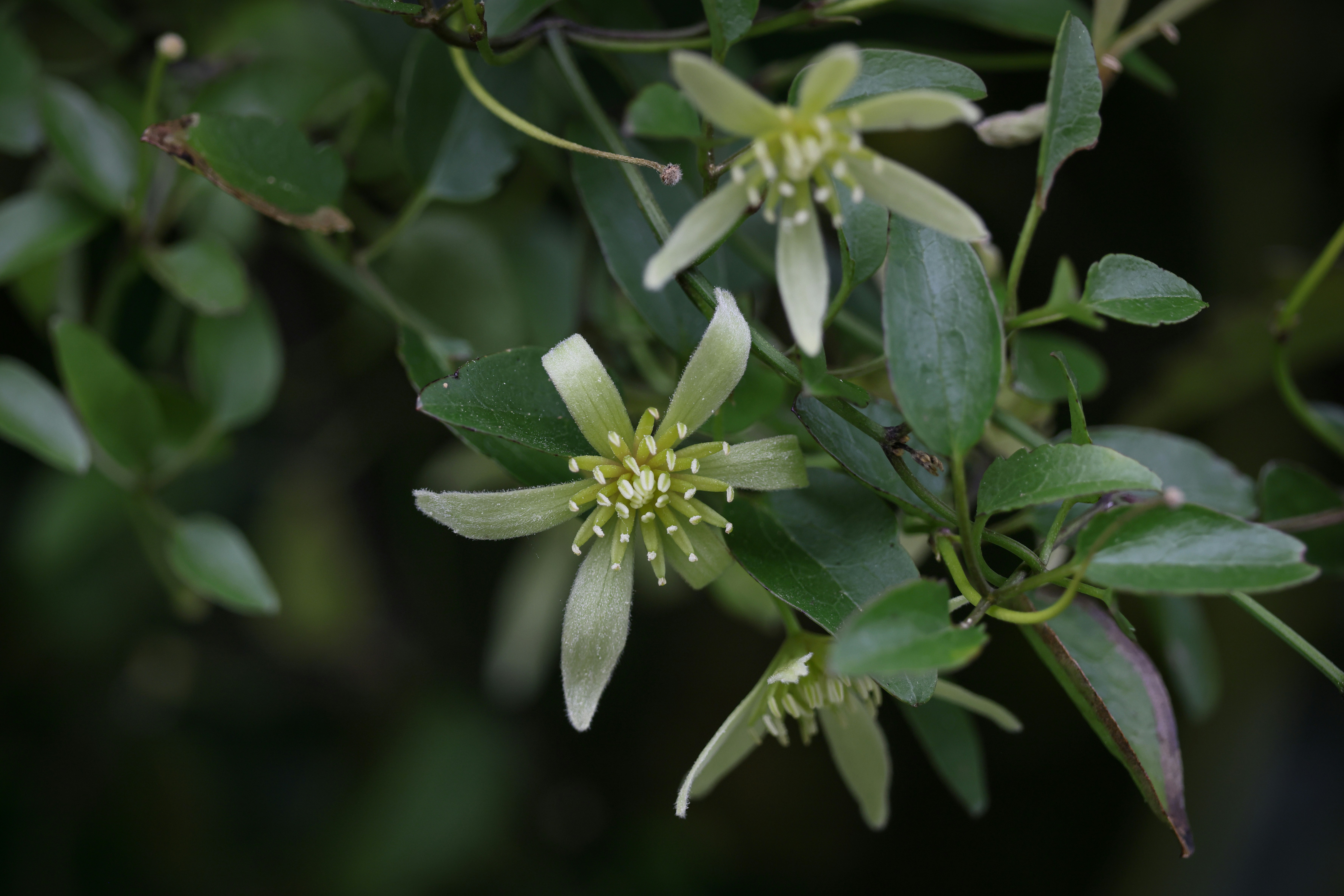 Photo by tonystoddard