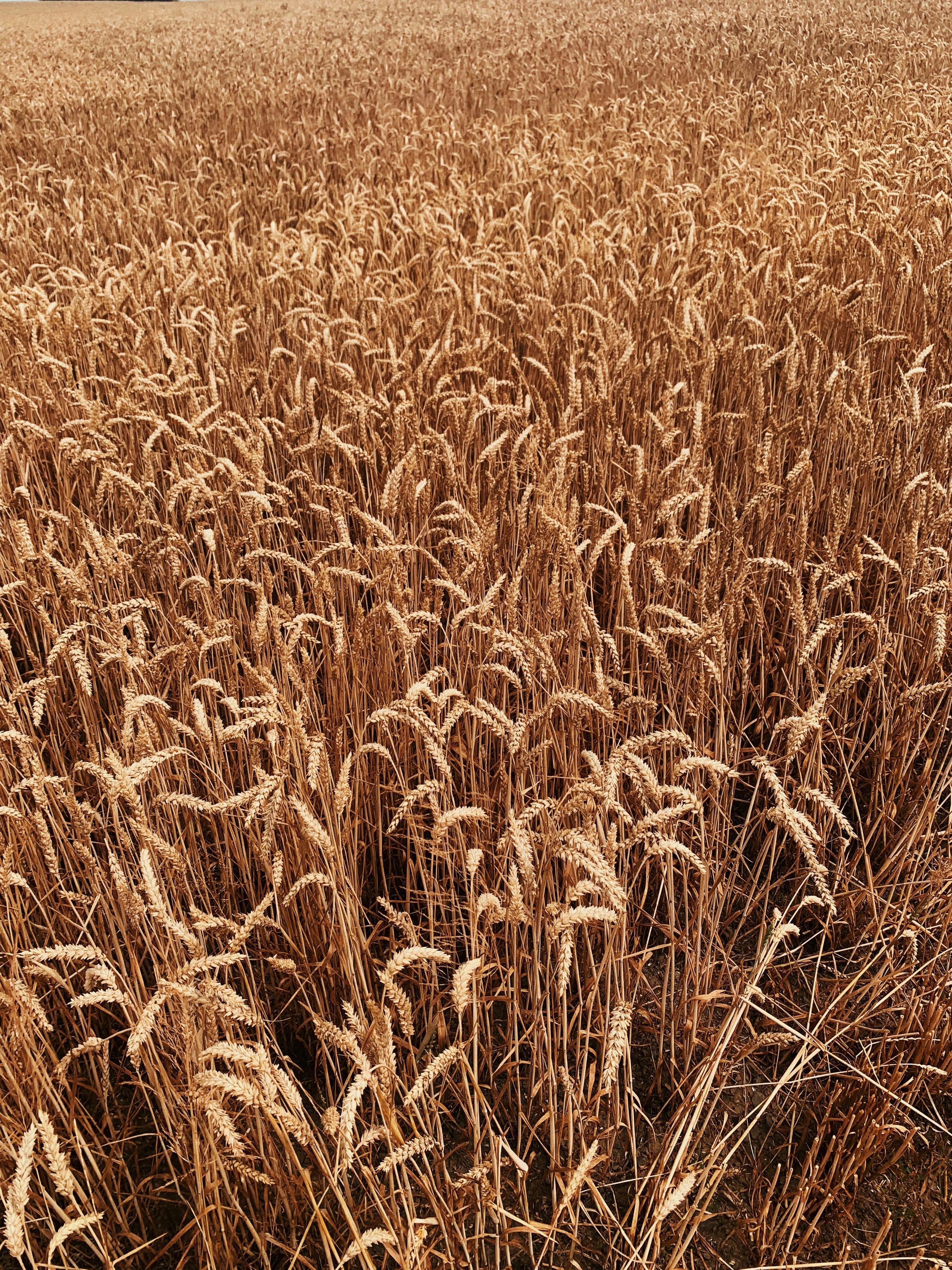 Photo by arzubersuozdogan