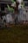 A spooky outdoor Halloween decoration featuring skull motifs on a wrought iron fence, tombstones with eerie designs, and ghostly figures hanging from a tree. Cobwebs enhance the haunted atmosphere, and there are faint orange lights glowing in the background.