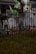 A spooky outdoor Halloween decoration featuring skull motifs on a wrought iron fence, tombstones with eerie designs, and ghostly figures hanging from a tree. Cobwebs enhance the haunted atmosphere, and there are faint orange lights glowing in the background.