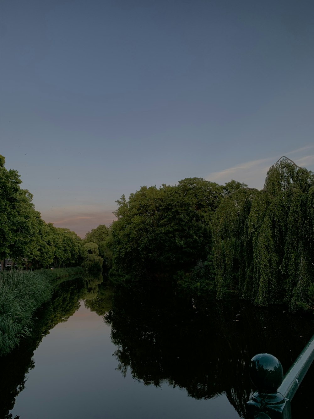 a body of water with trees around it