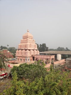 A pink, intricately designed temple stands amidst greenery with trees and bushes surrounding it. The temple features ornate carvings and statues, and is constructed with multiple tiers and domes. In the background, a clear sky and adjacent buildings are visible. The setting appears serene and peaceful.