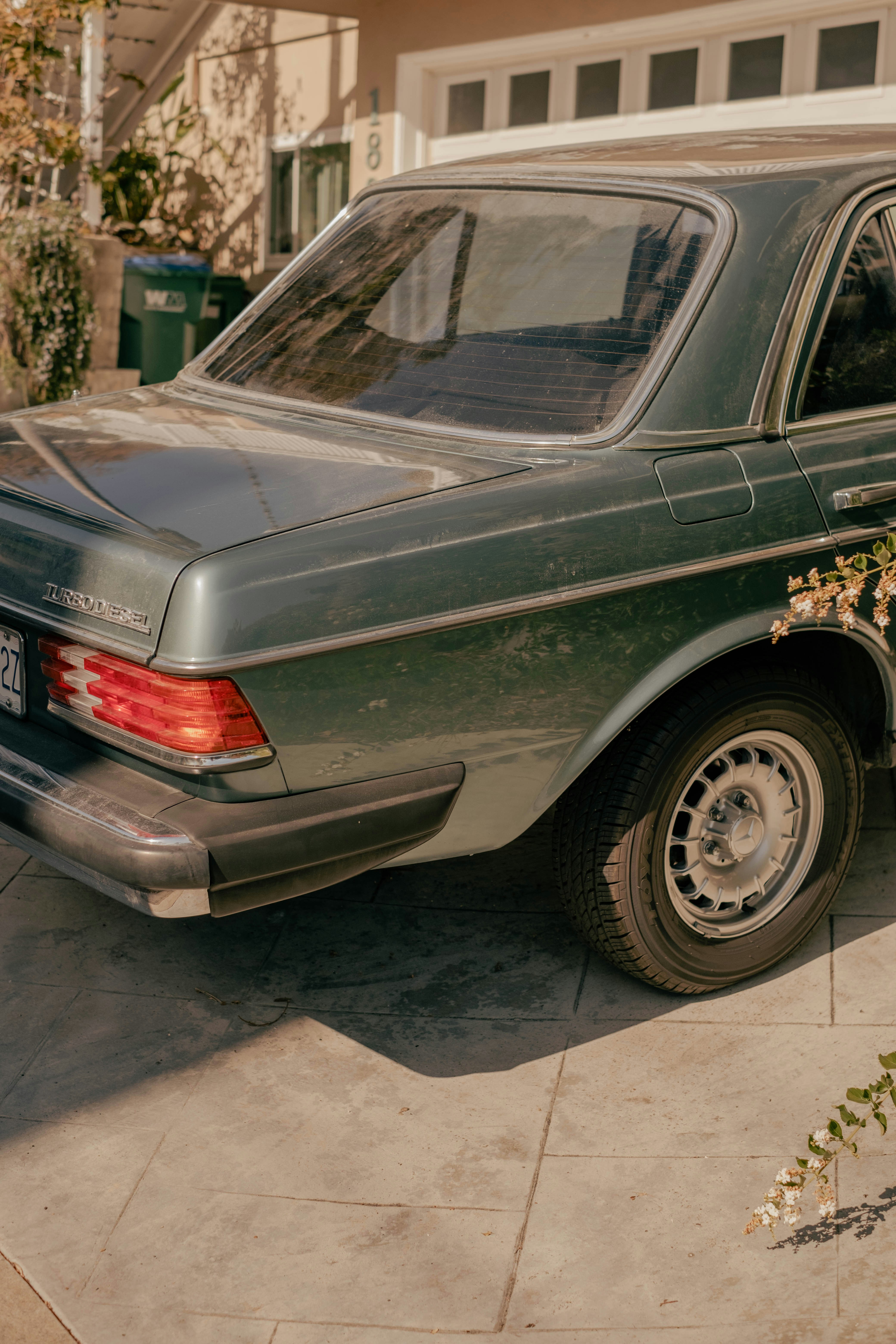 Photo by mattxfotographs