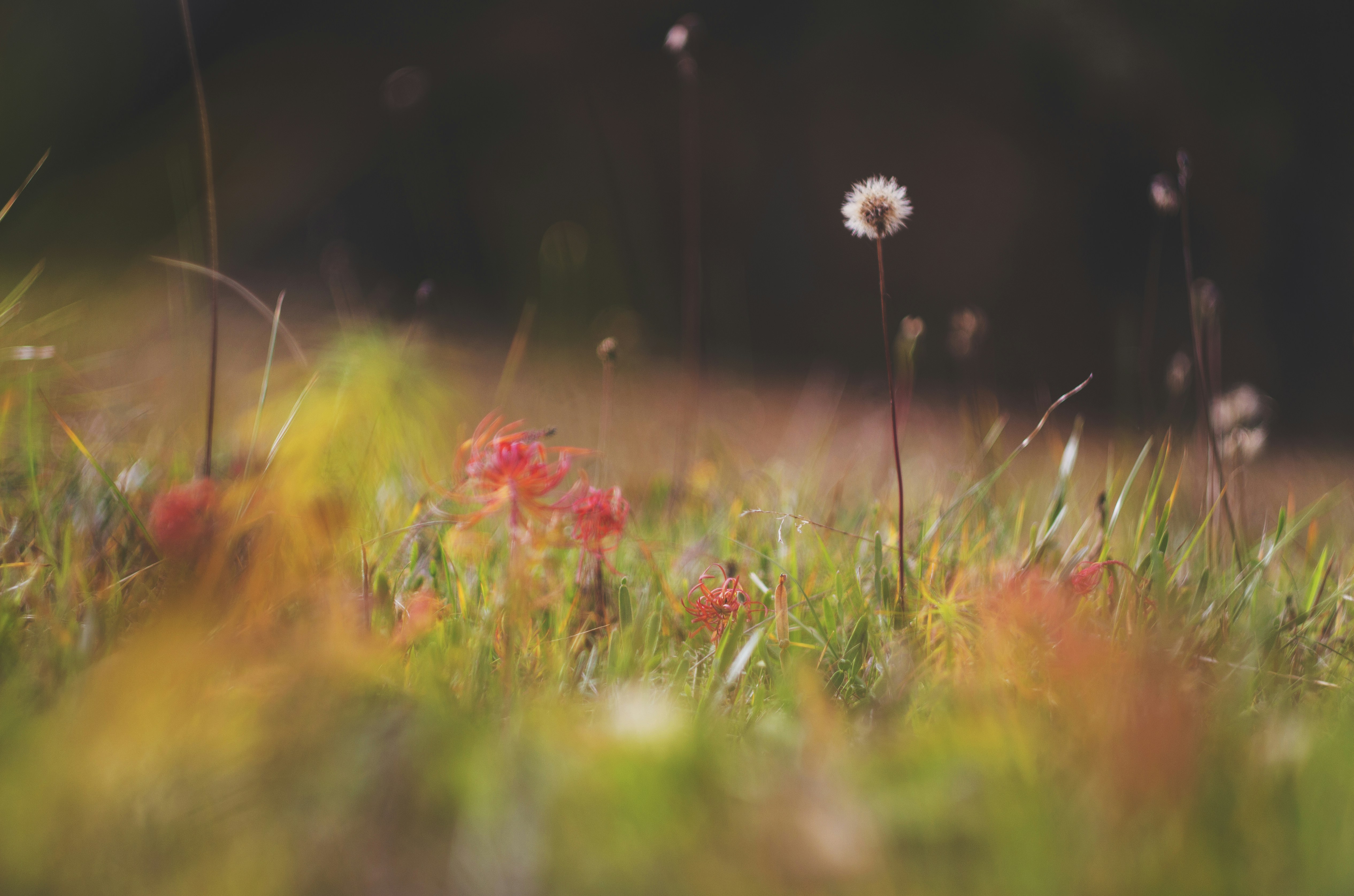 Photo by miloslopusina