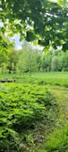 Lush nature preserved around the premium land.