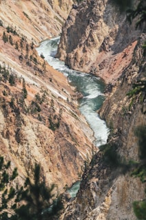 A winding river flows through a steep canyon with rugged, rocky cliffs. Sparse vegetation, including small trees and shrubs, clings to the sides of the canyon. The landscape is marked by various shades of brown, orange, and beige, contrasted by the deep green of the river.