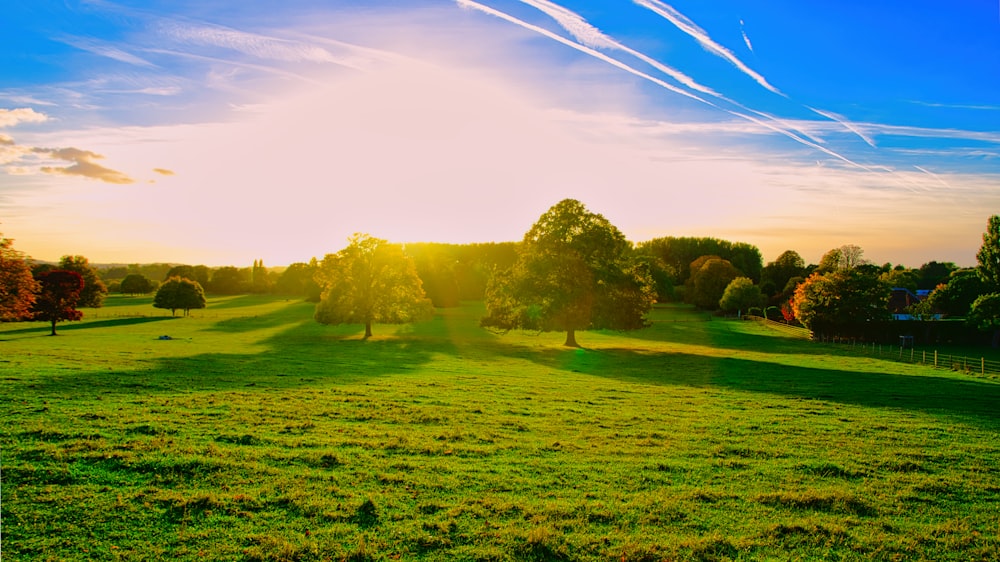 a grassy field with trees and a blue sky