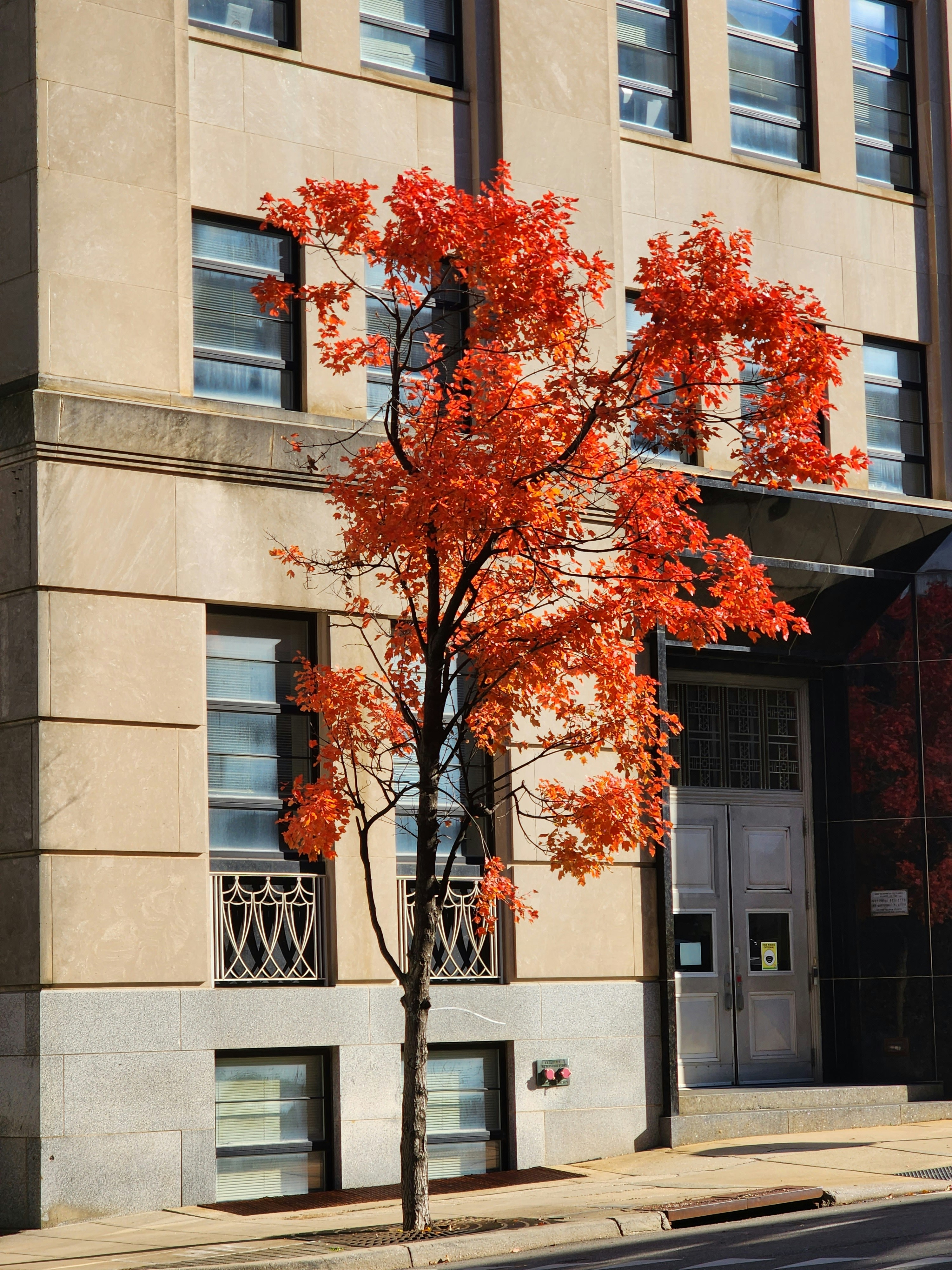 Photo by harindranvikram