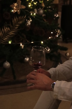 a person holding a glass of wine