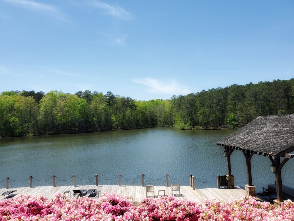 a body of water with trees in the background