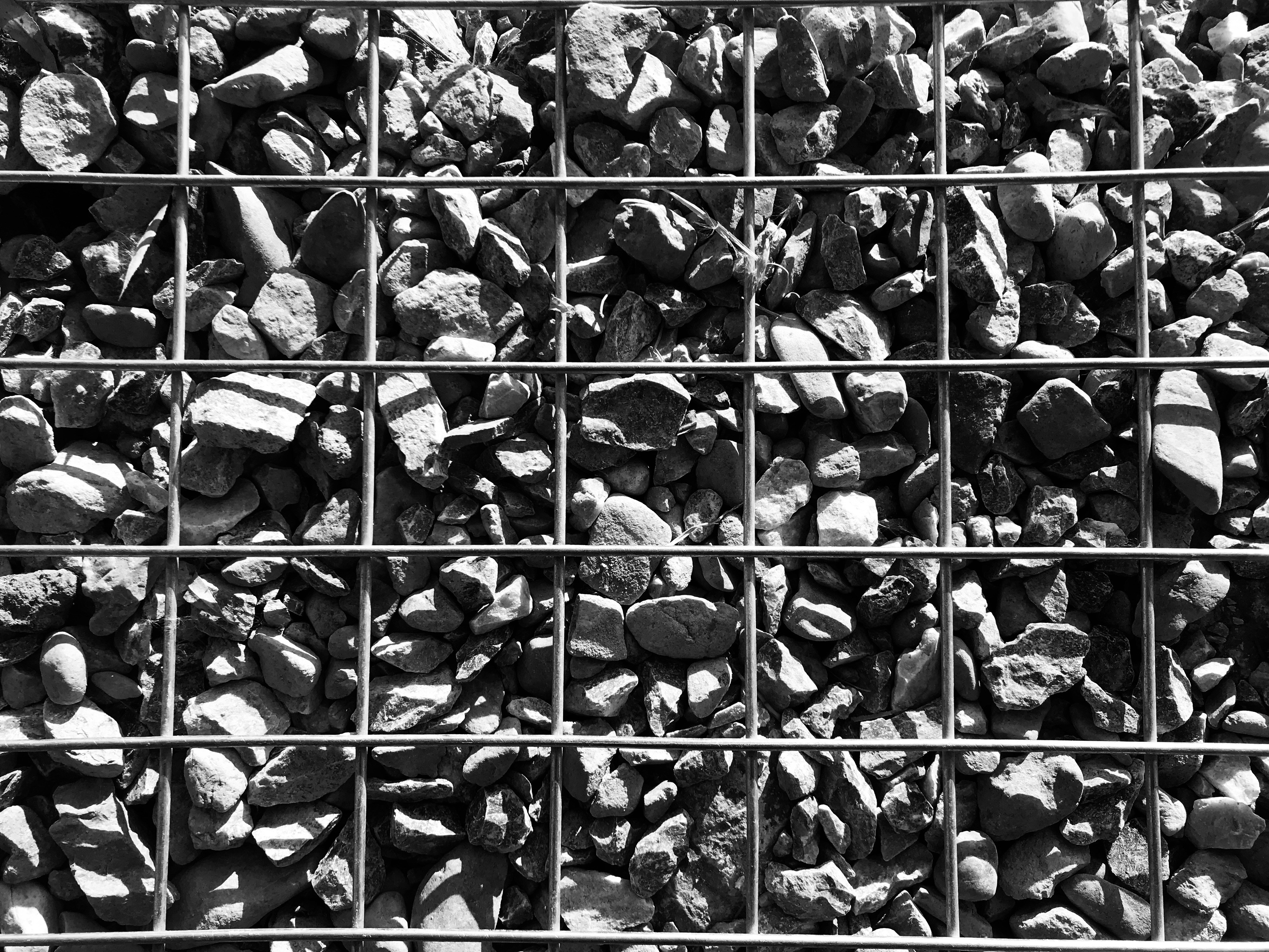 Photo by between_worlds