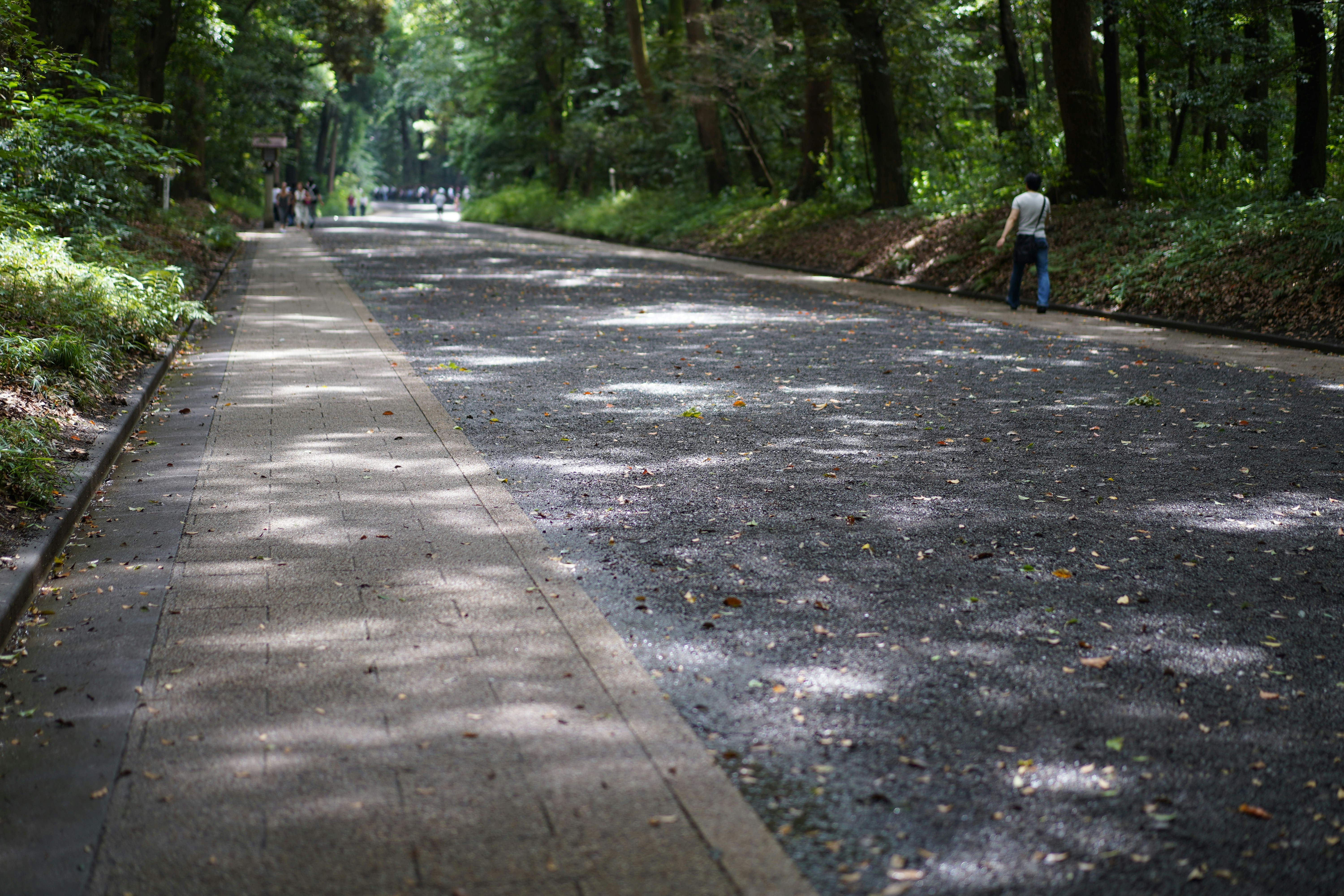 a person walking on a sidewalk