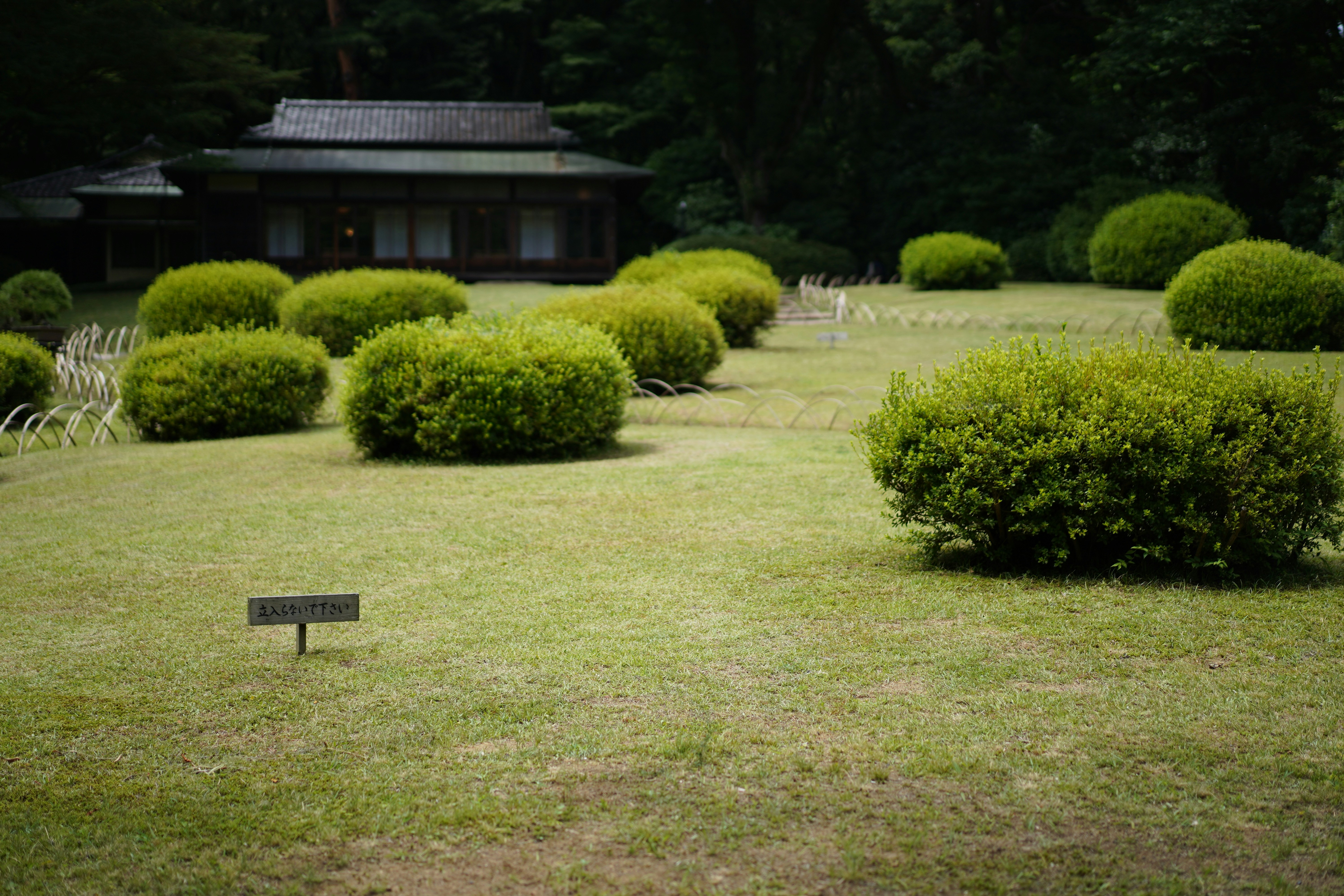 Japanese Countryside Community