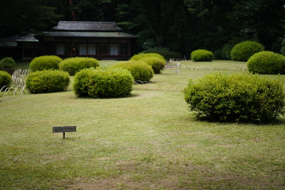 a large green lawn with bushes and a building in the background