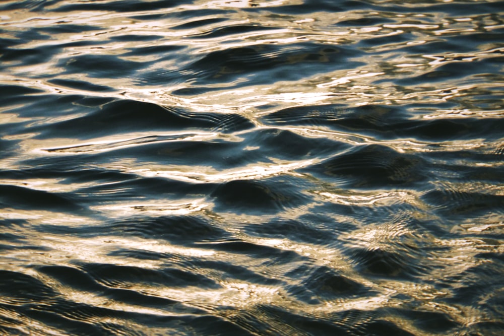 a body of water with ripples