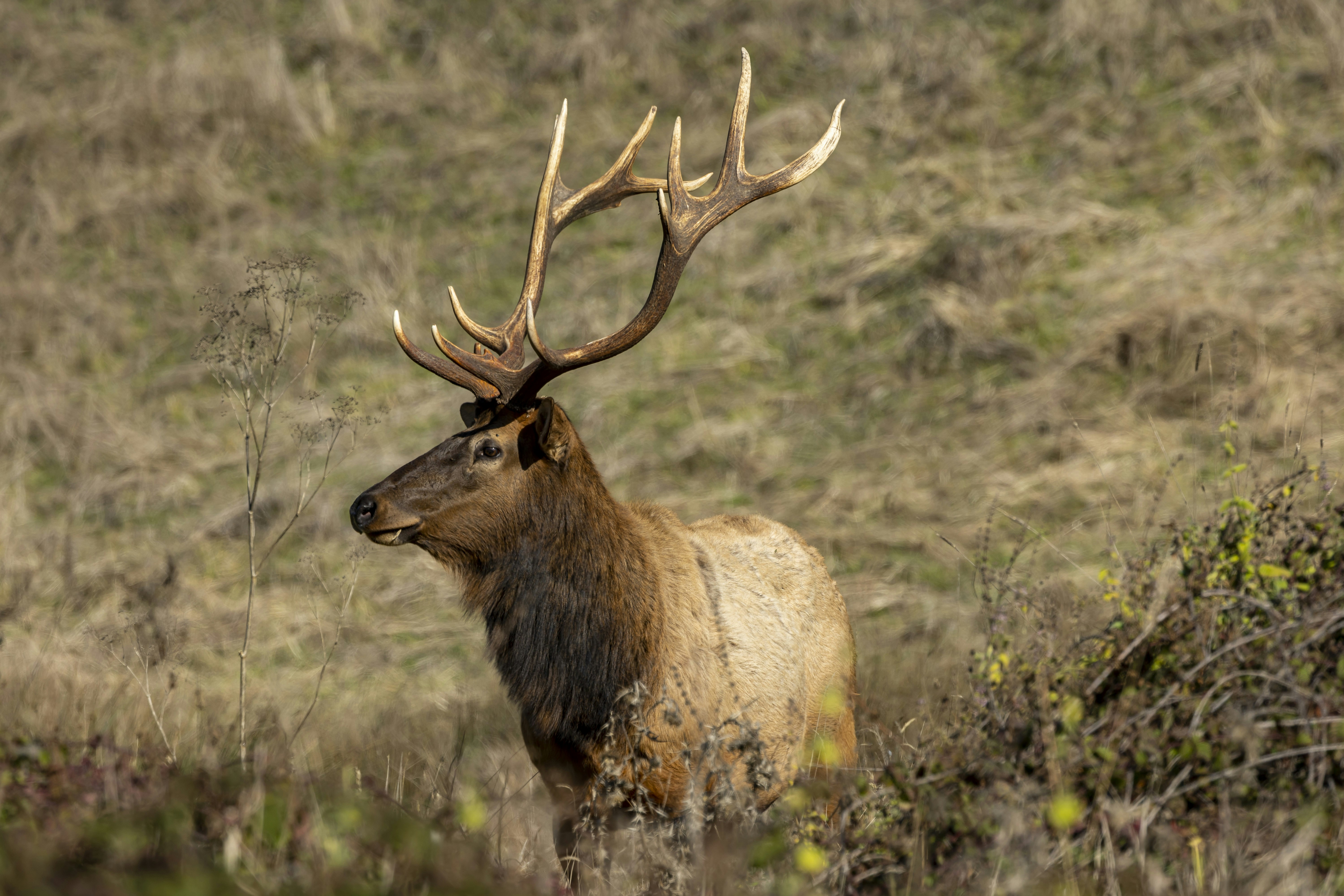 Photo by leo_visions_