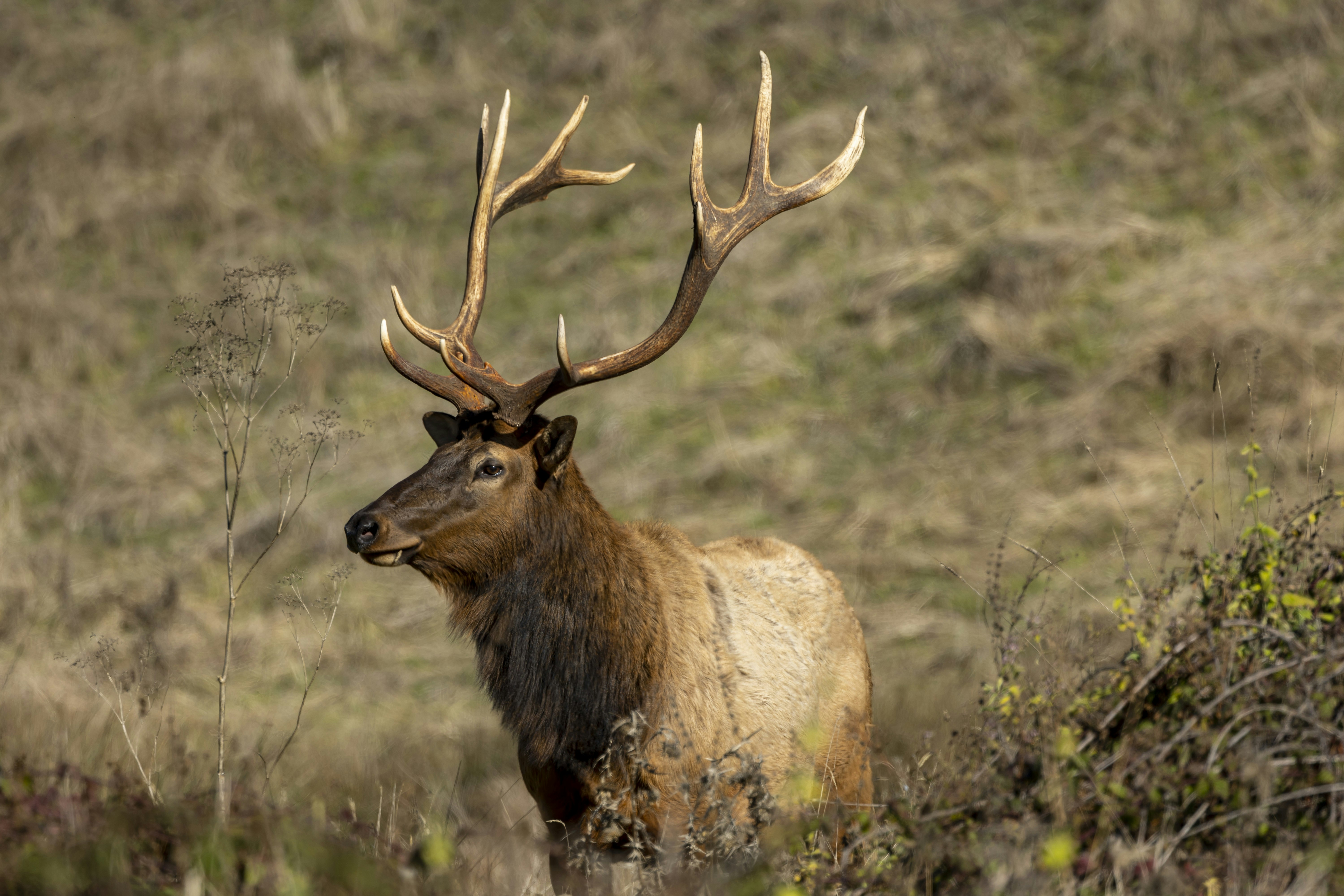 Photo by leo_visions_