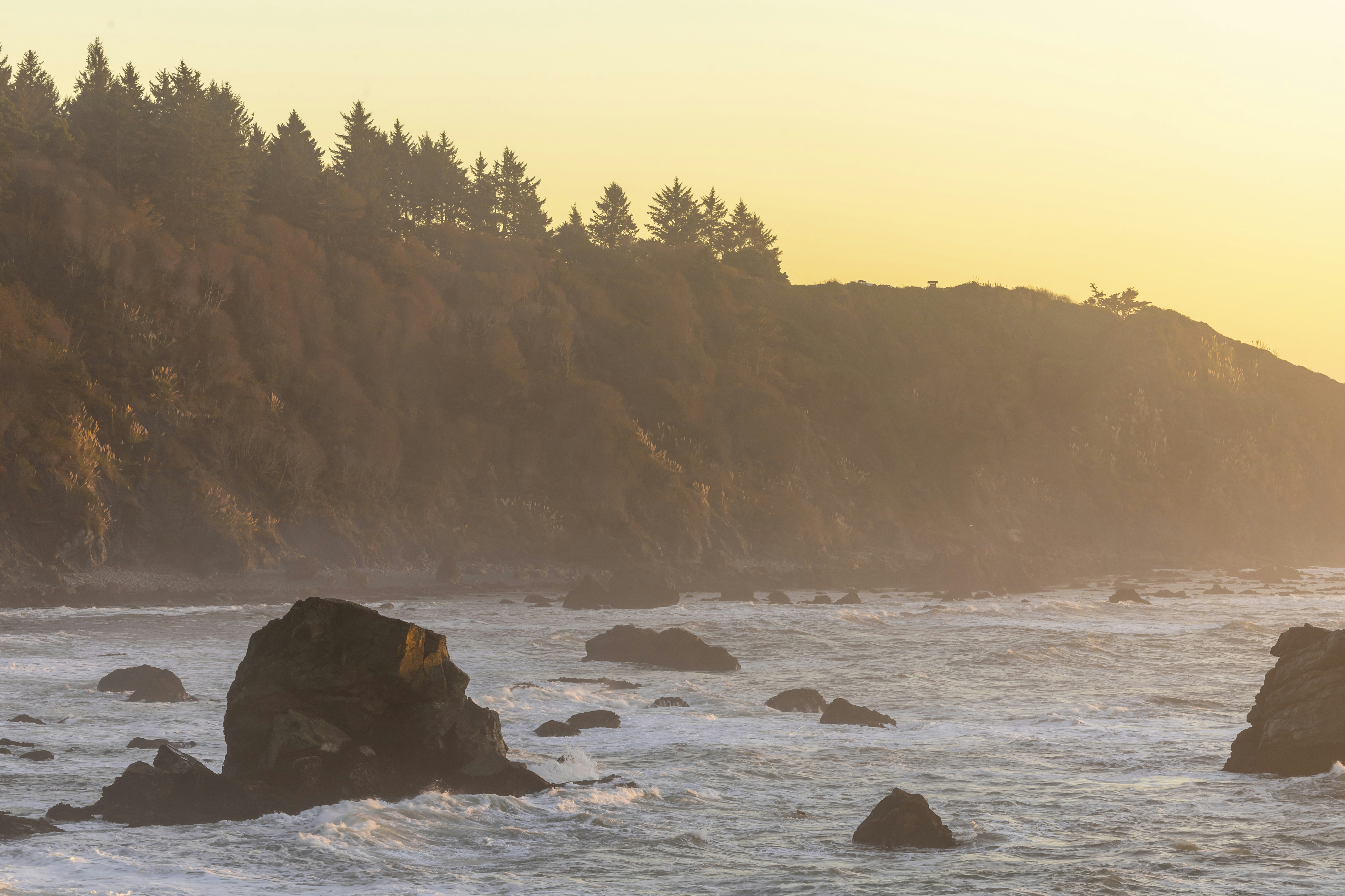 Photo by leo_visions_