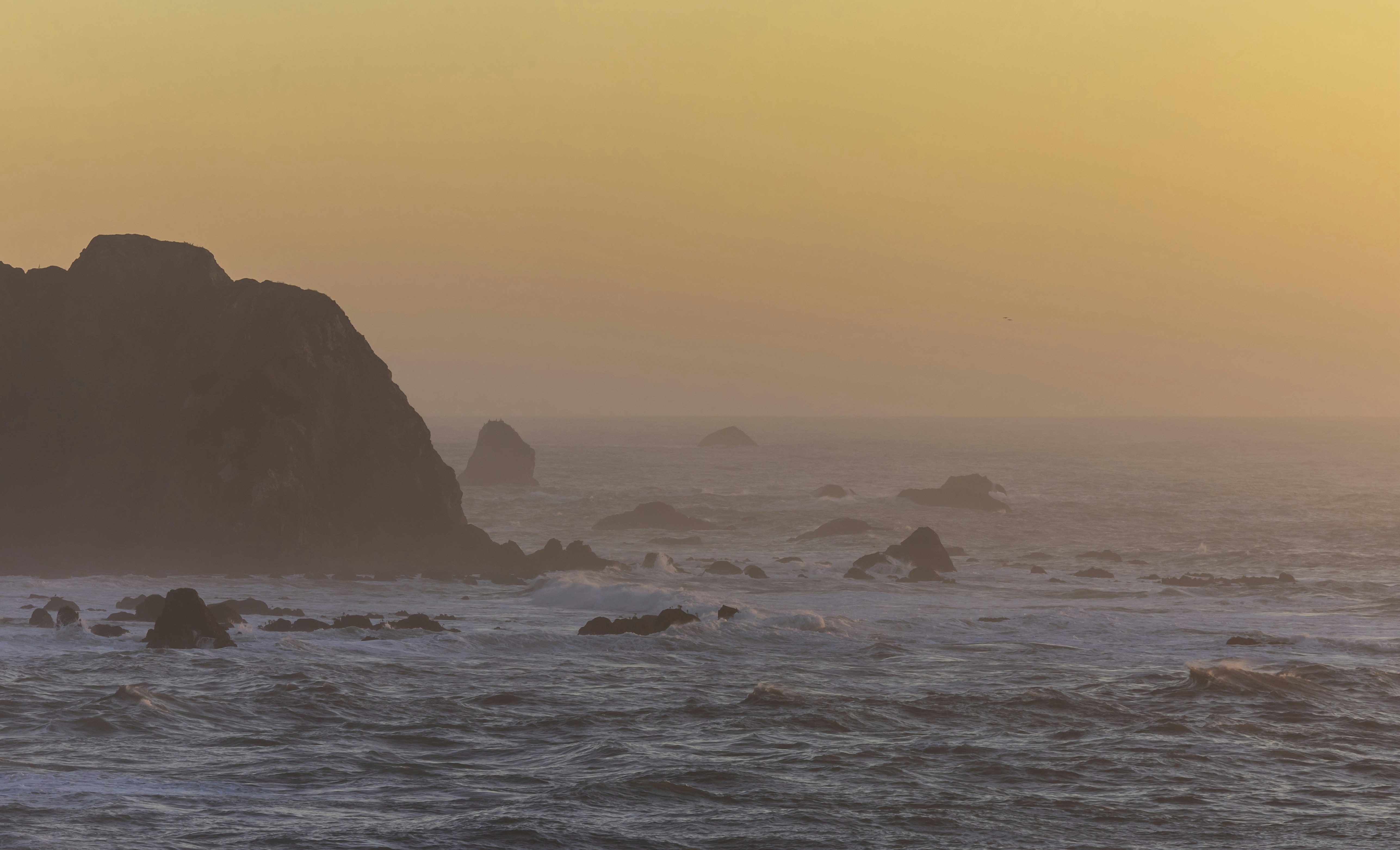 Photo by leo_visions_