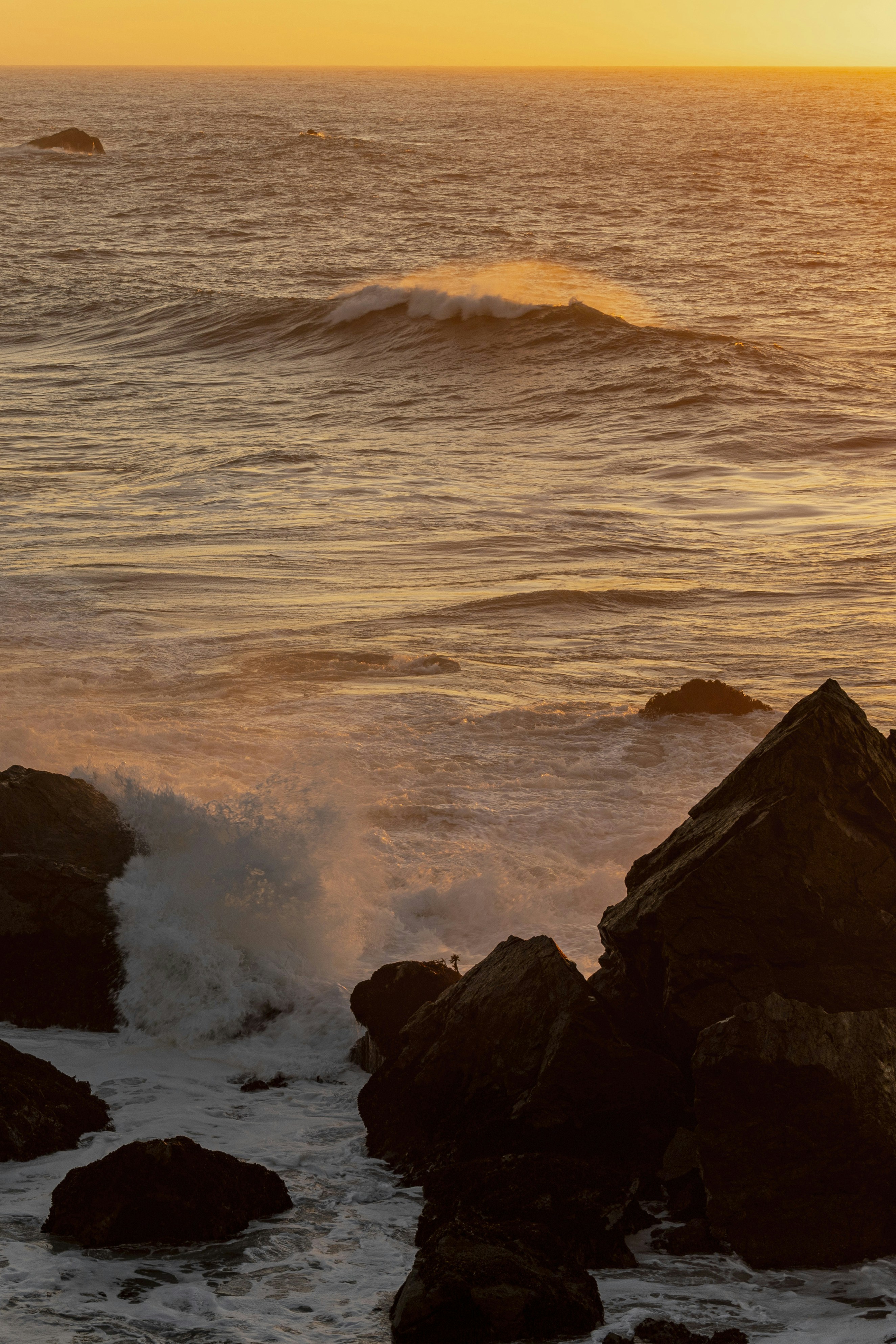 Photo by leo_visions_