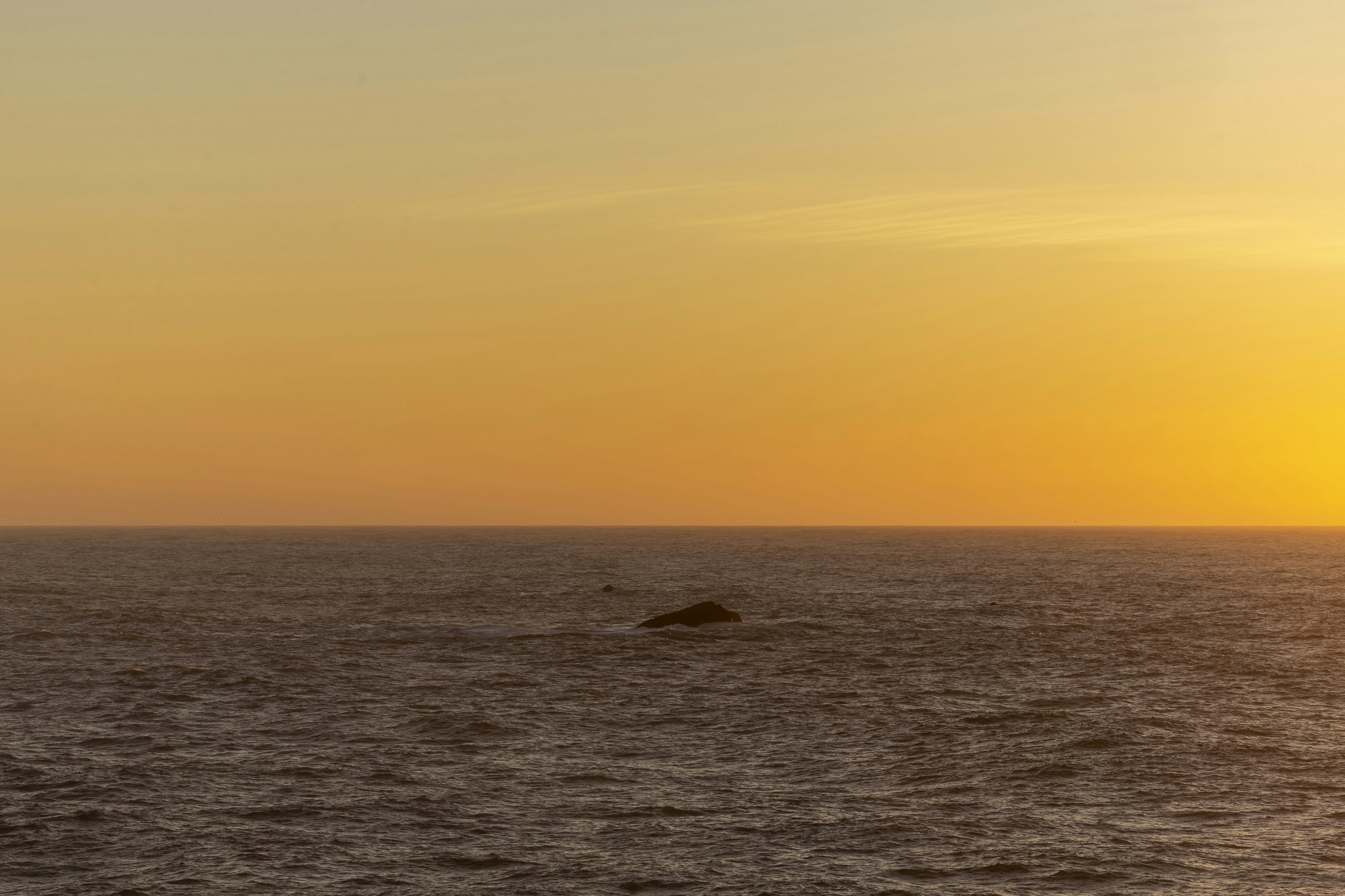 Photo by leo_visions_