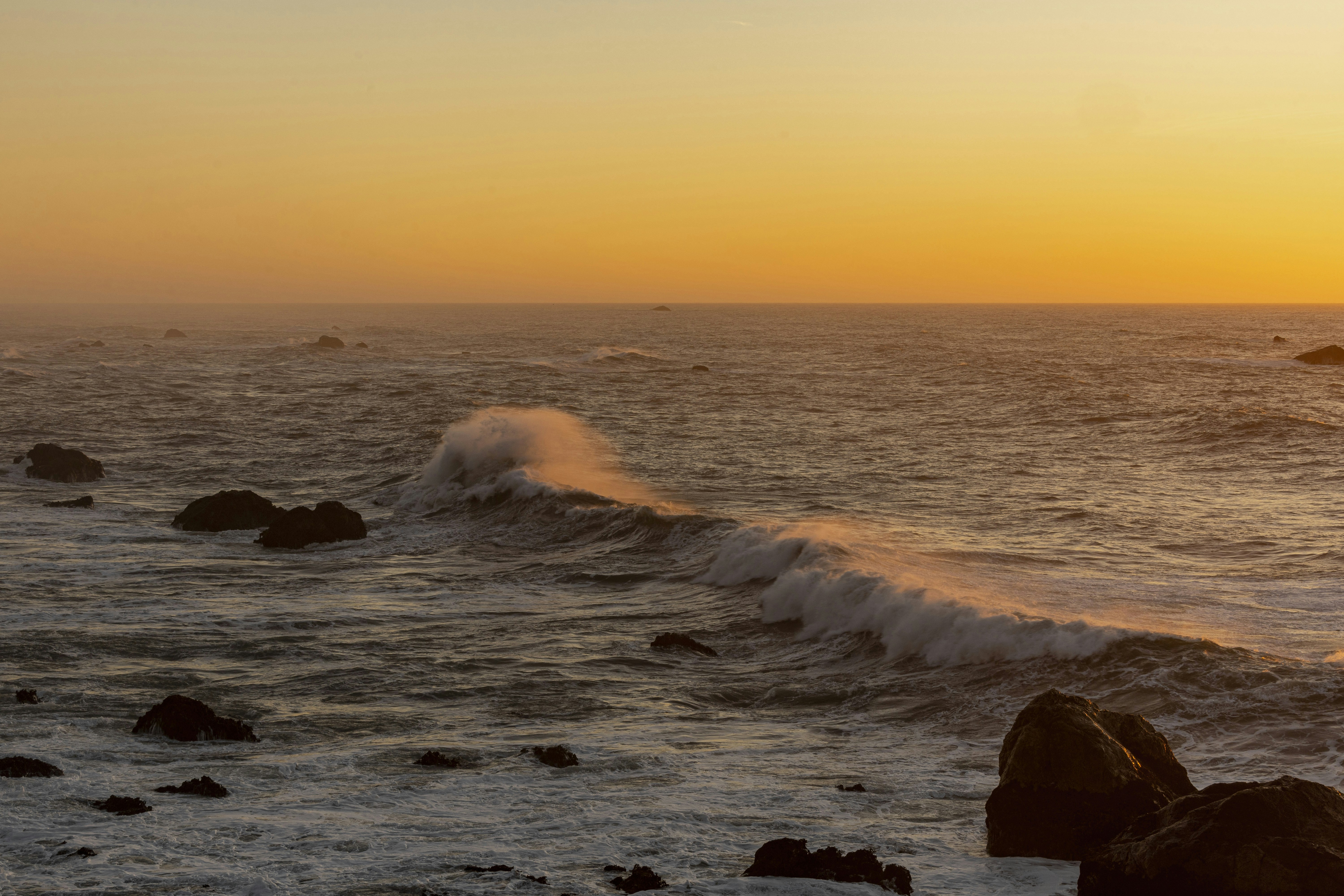 Photo by leo_visions_