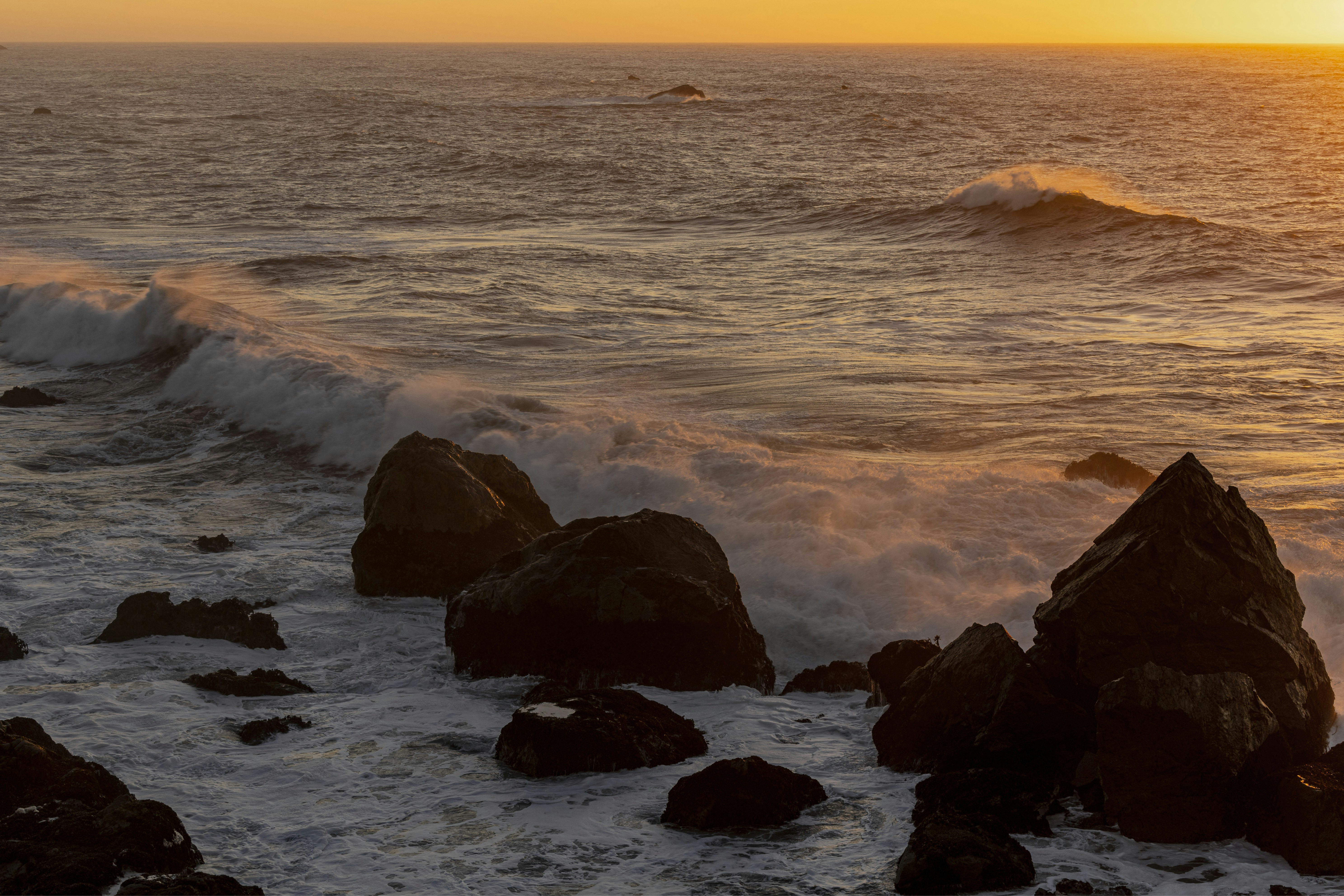 Photo by leo_visions_