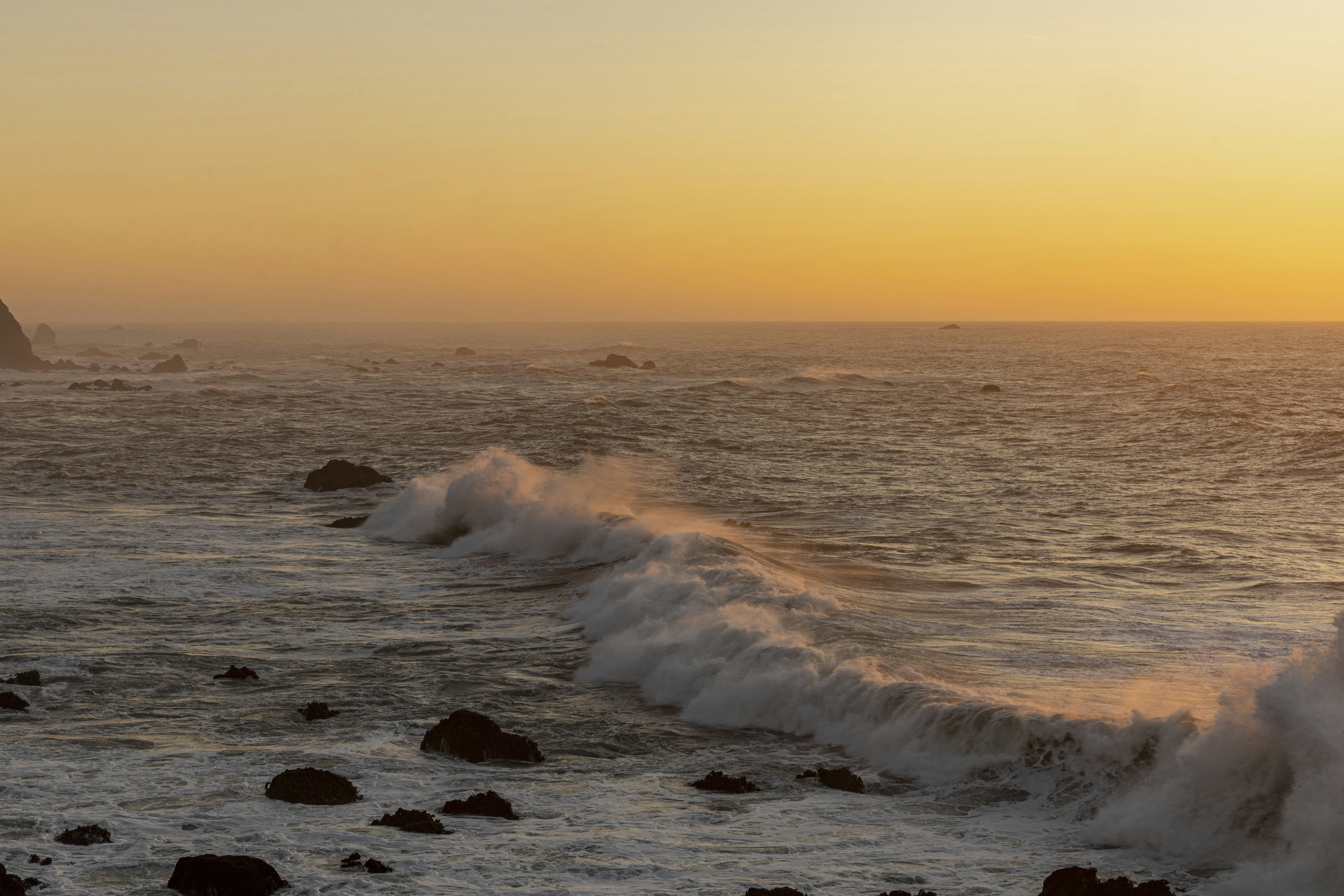 Photo by leo_visions_