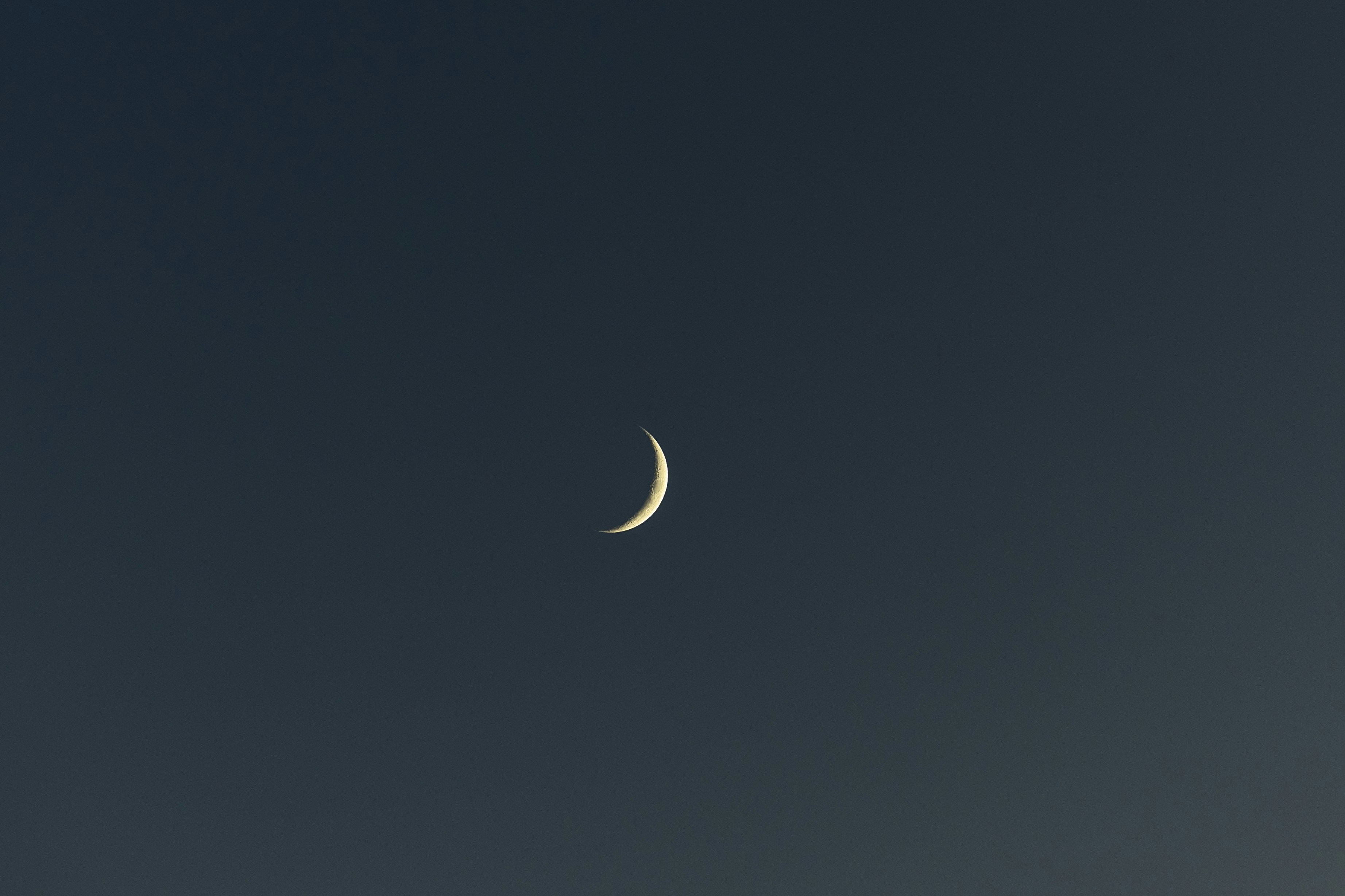 Photo by leo_visions_