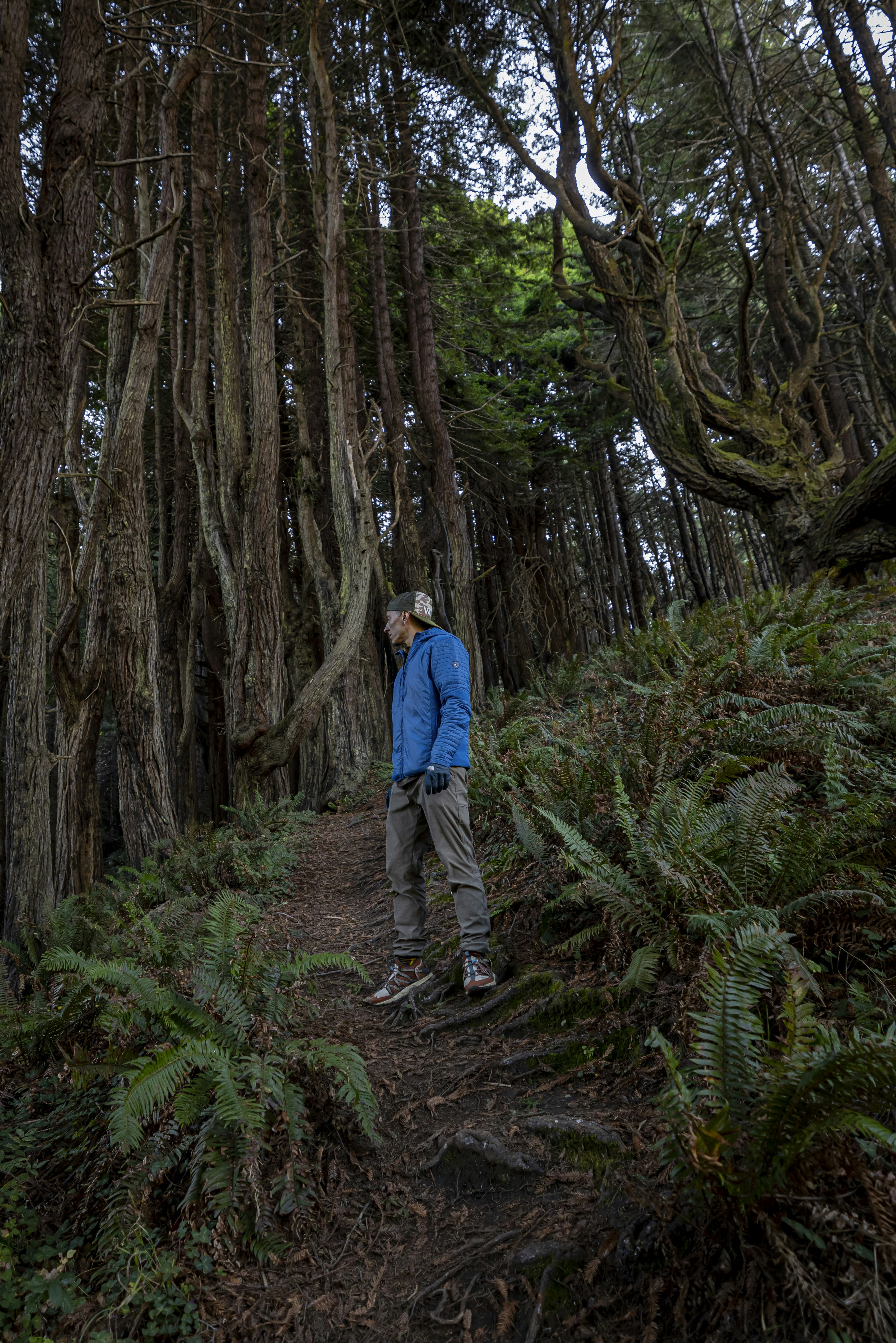 Photo by leo_visions_