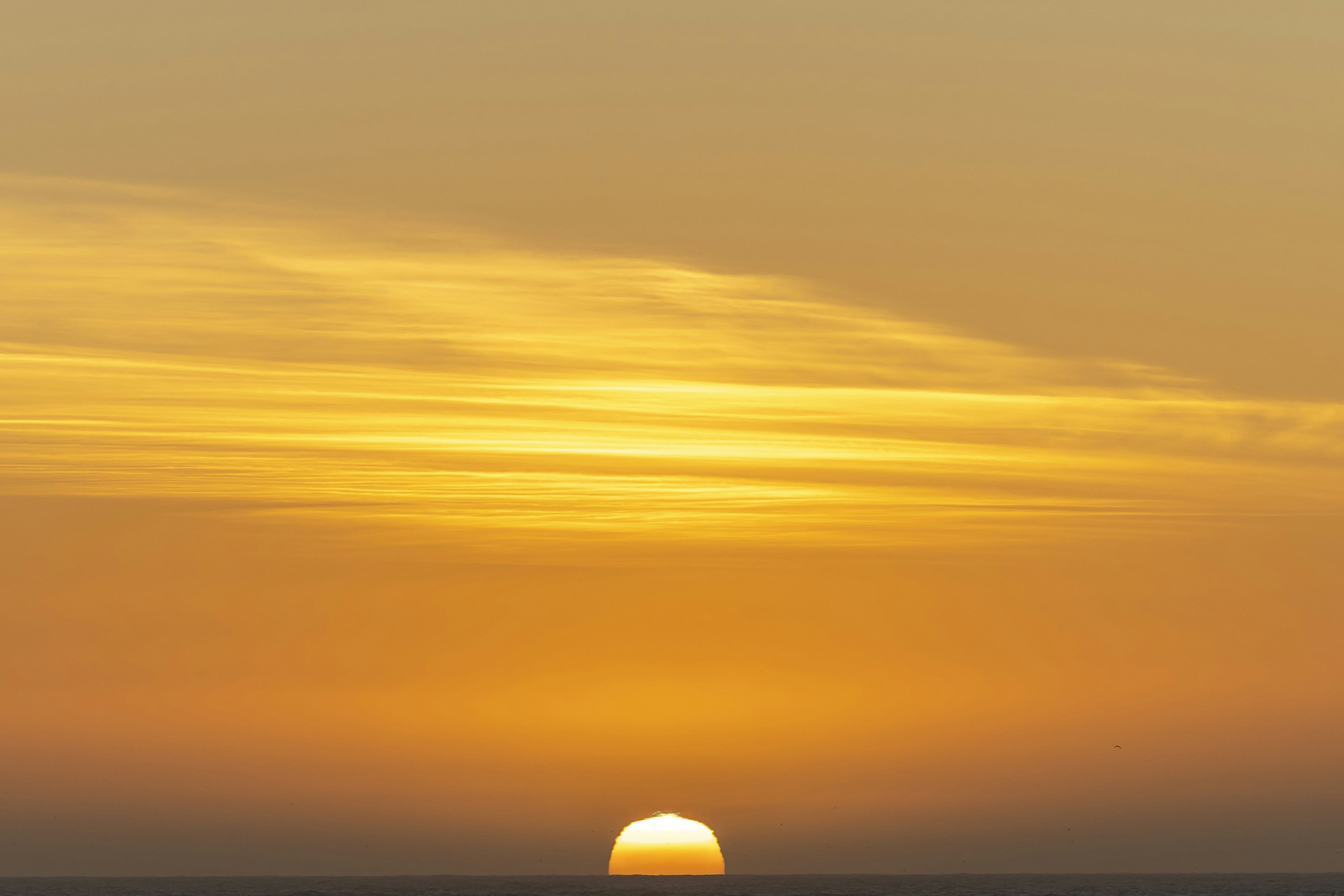 Photo by leo_visions_