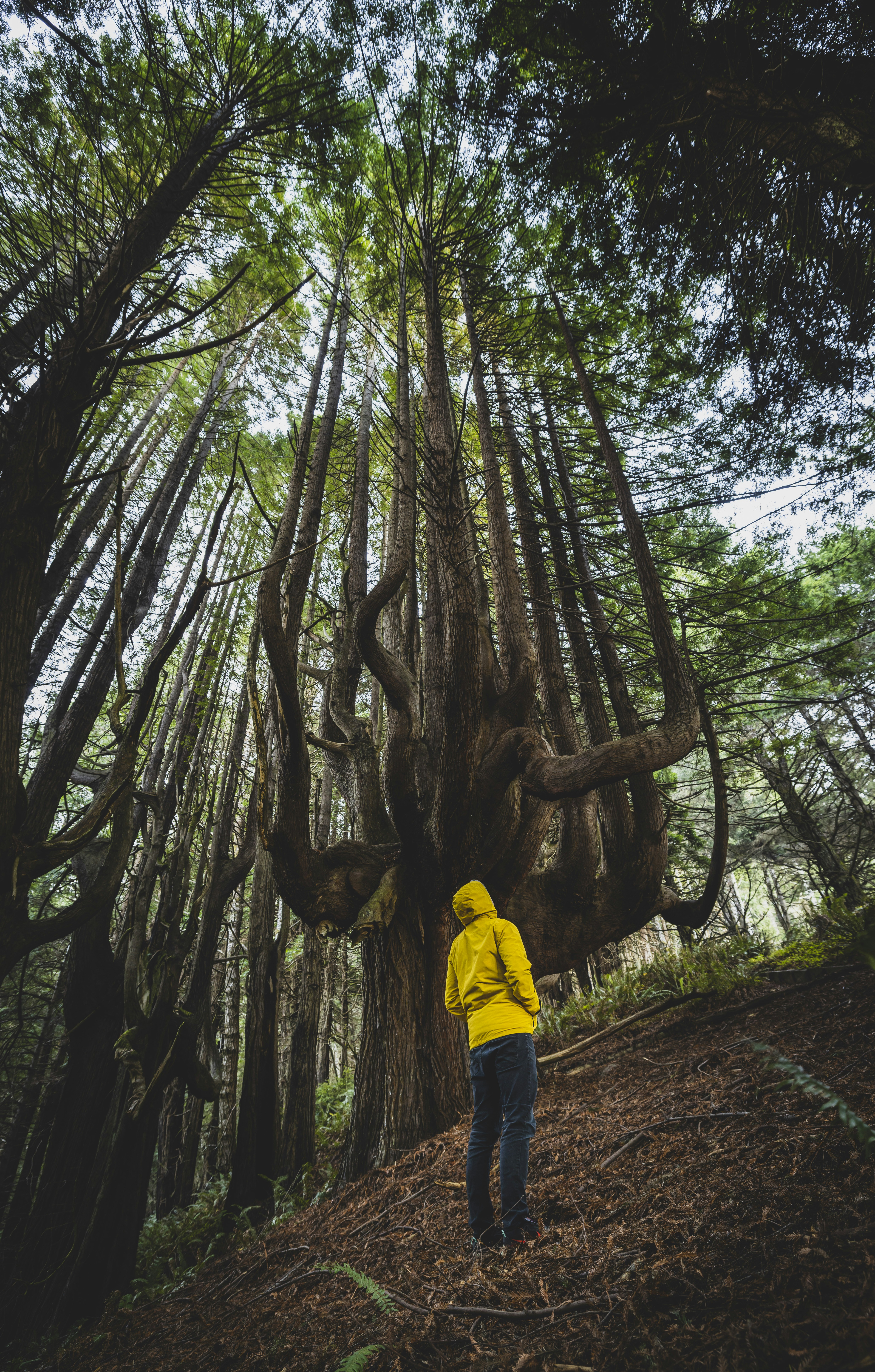 Photo by leo_visions_