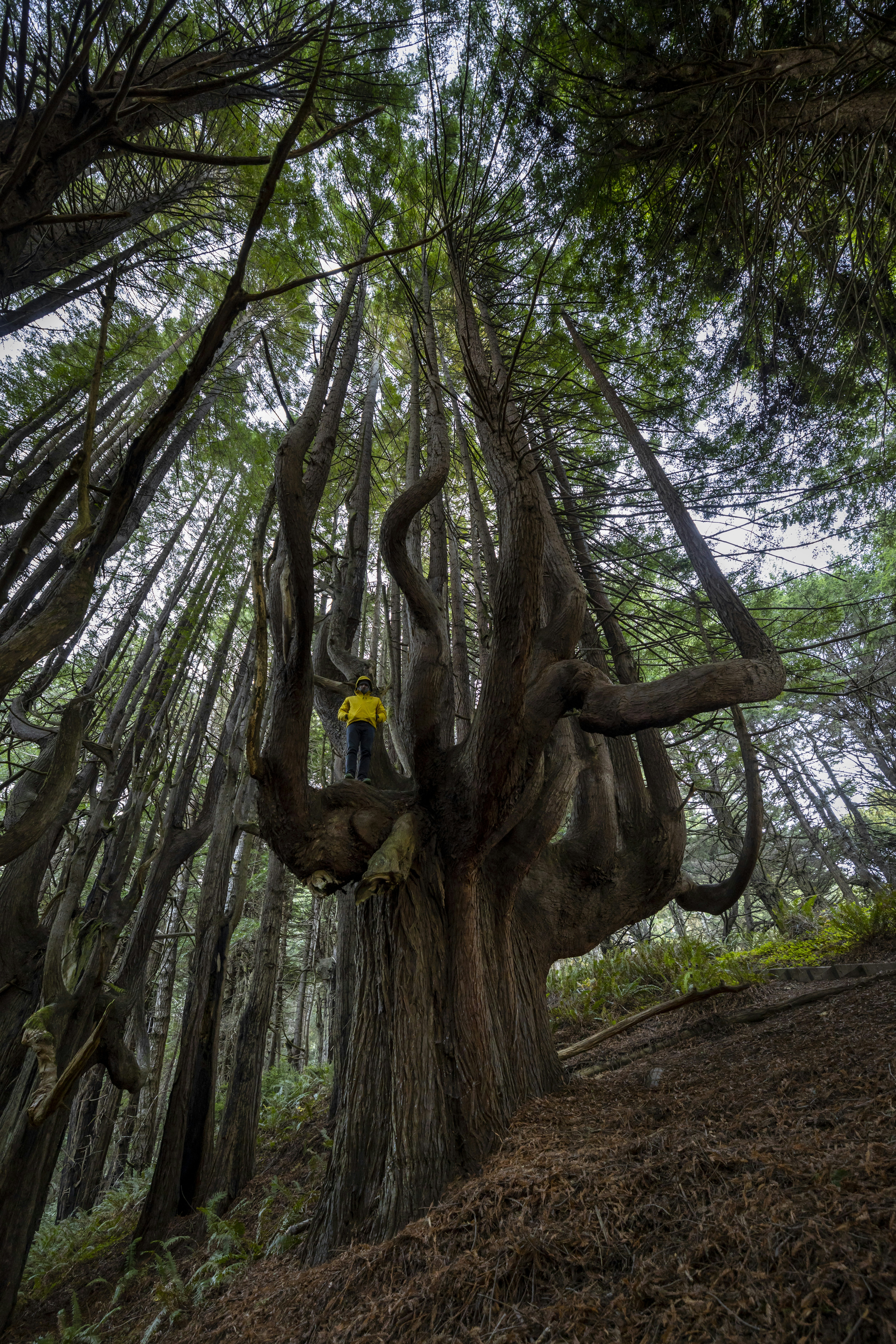 Photo by leo_visions_