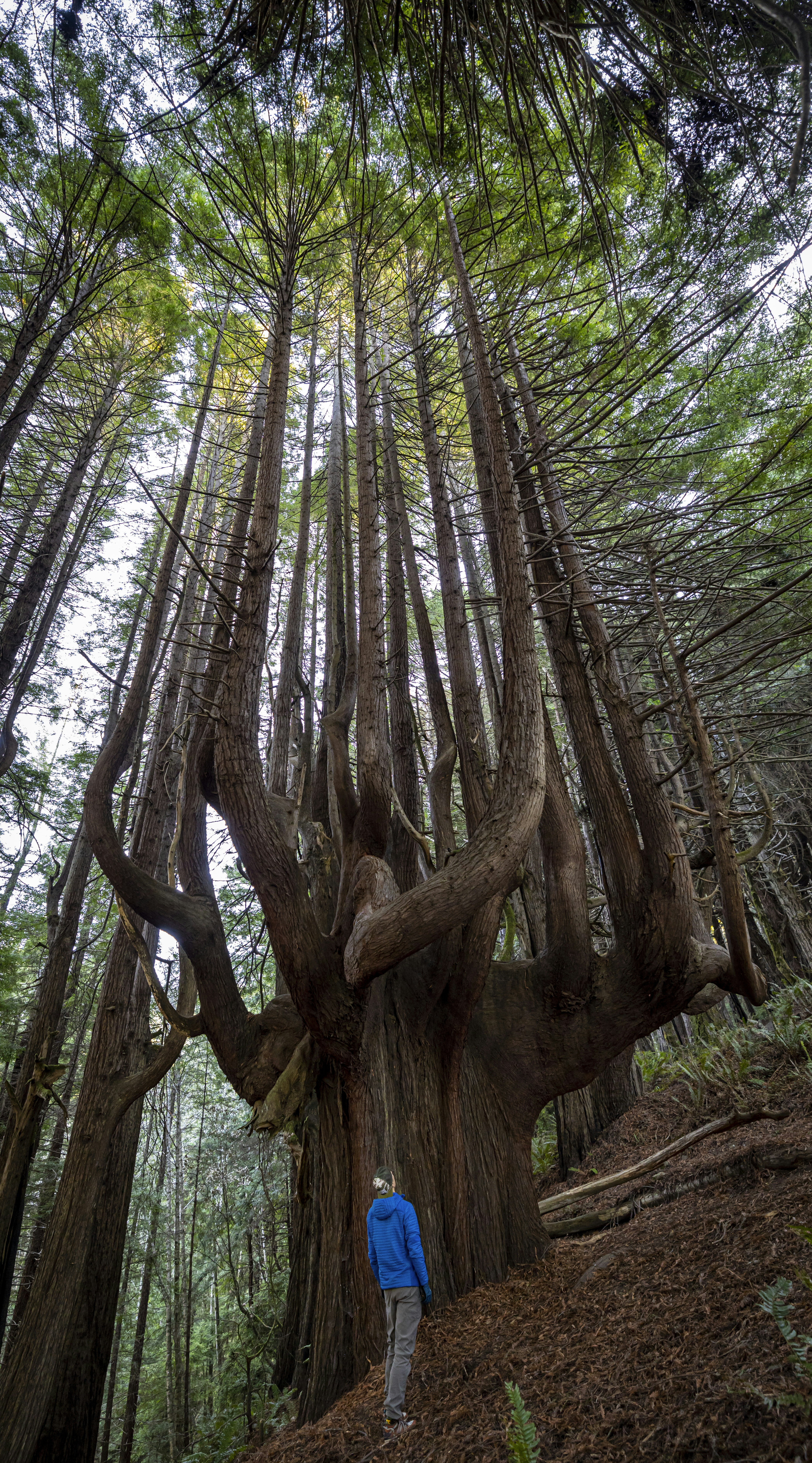 Photo by leo_visions_