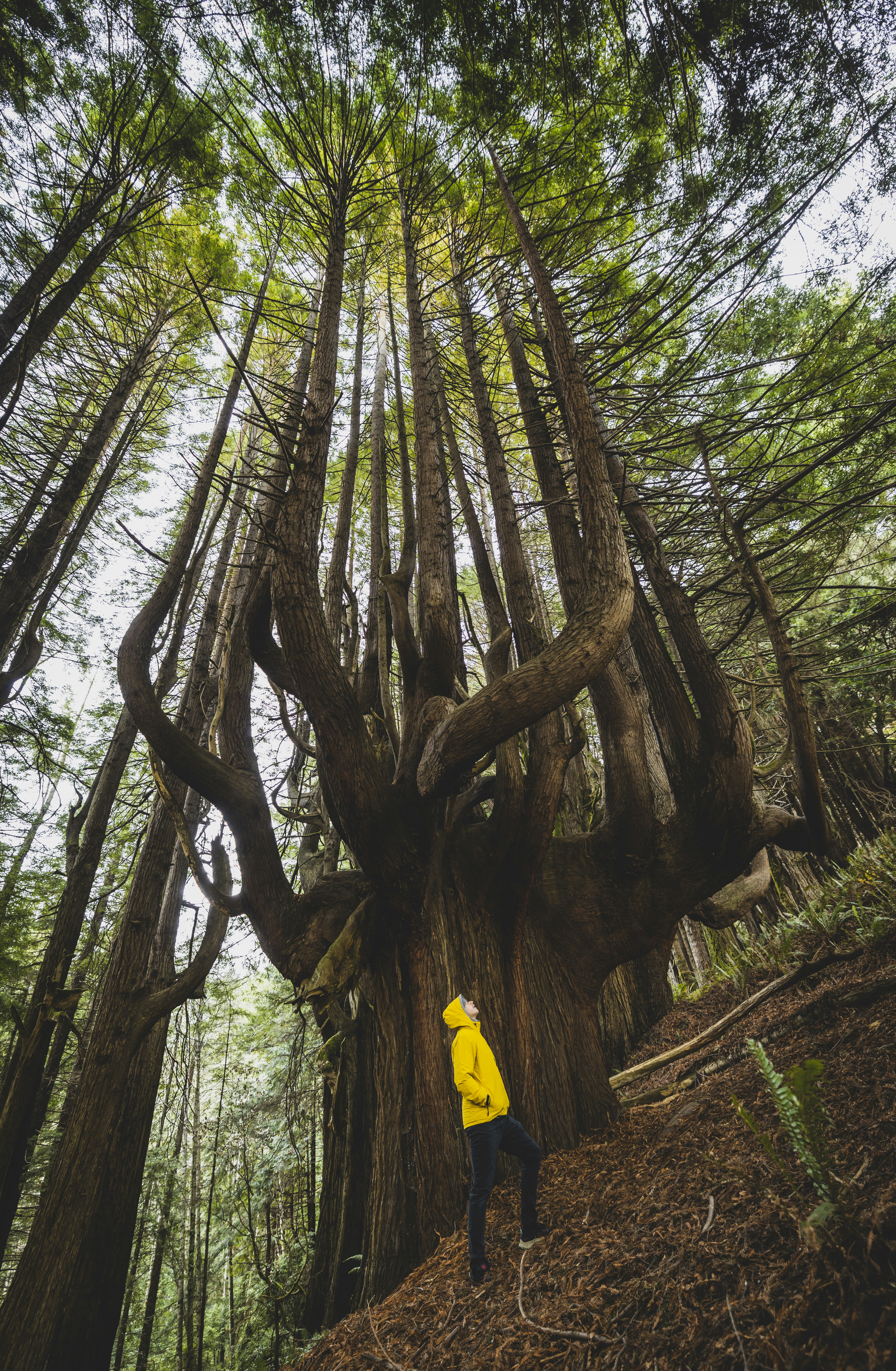 Photo by leo_visions_